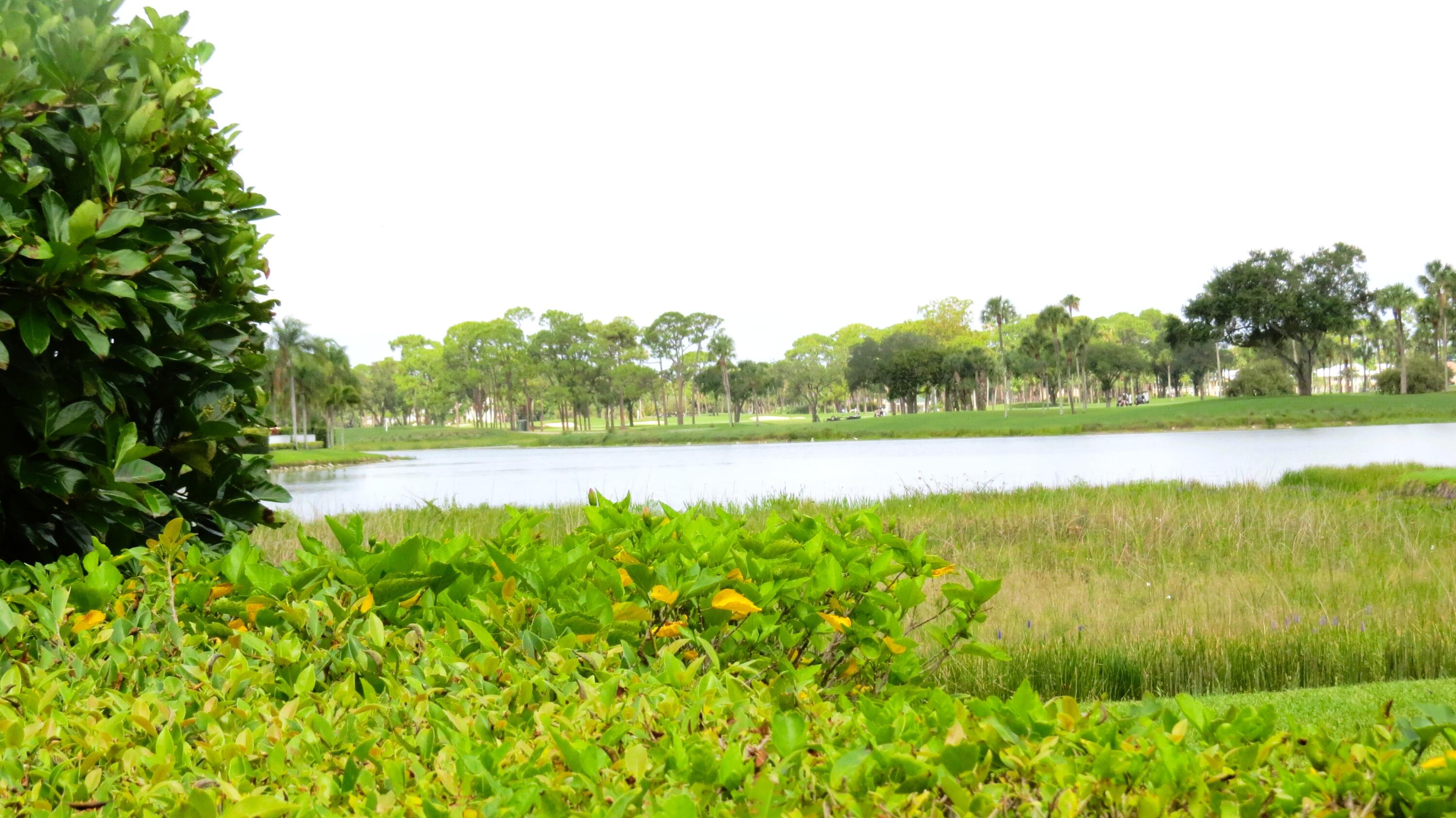 1009 Diamond Head Way Property Photo 29