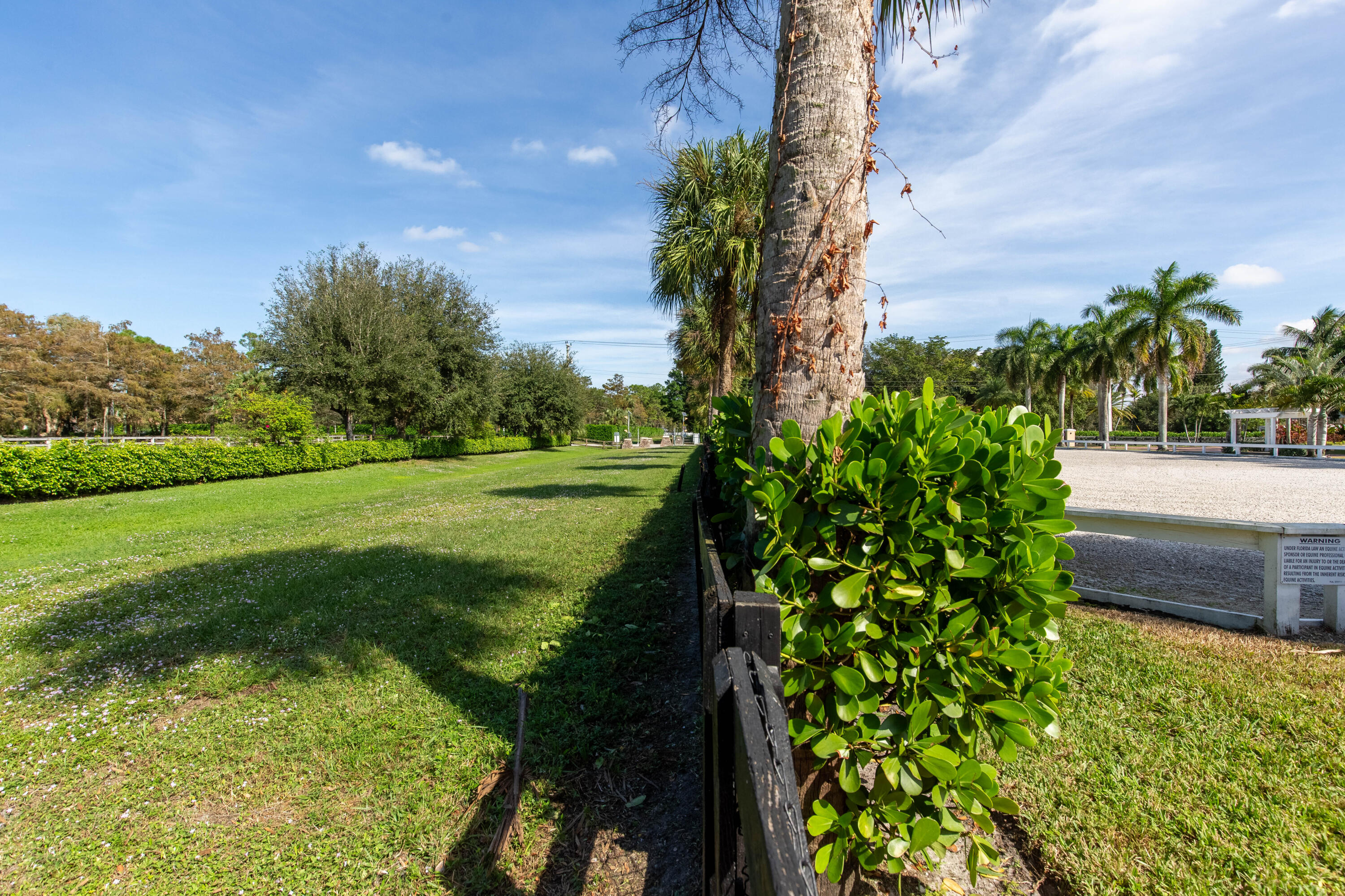14943 Paddock Drive Property Photo 33
