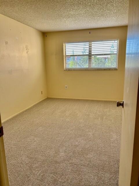 7960 Sunrise Lakes Drive N 205 Property Photo 8