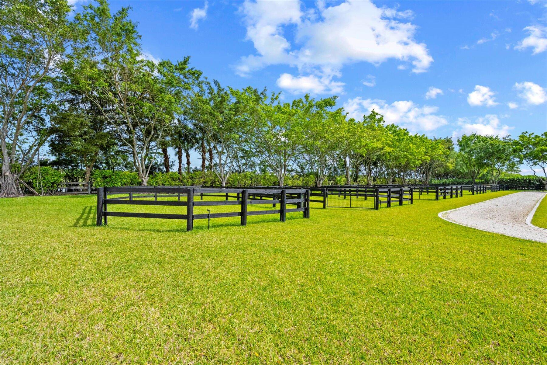 12995 Via Christina Property Photo 23
