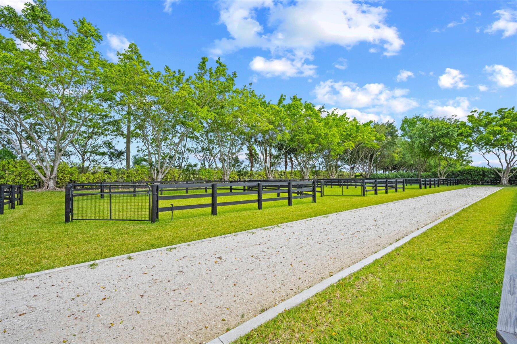 12995 Via Christina Property Photo 27