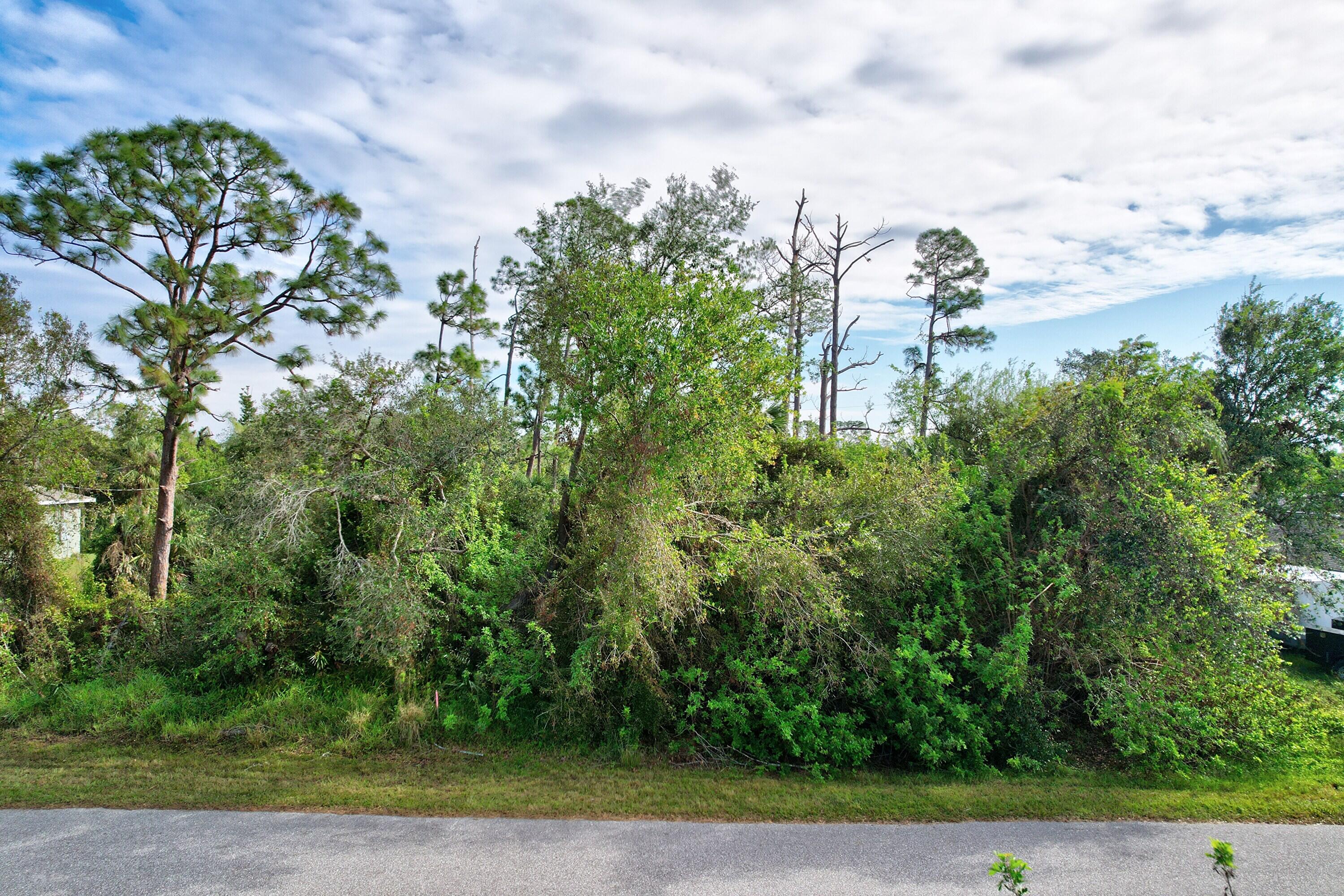 861 Red Bay Street Property Photo 3