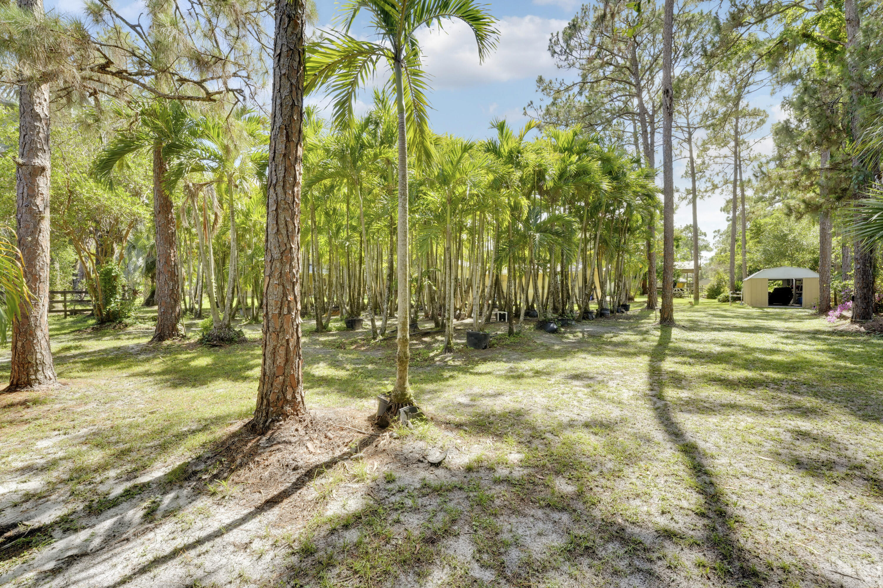 12263 Sandy Run Property Photo 61