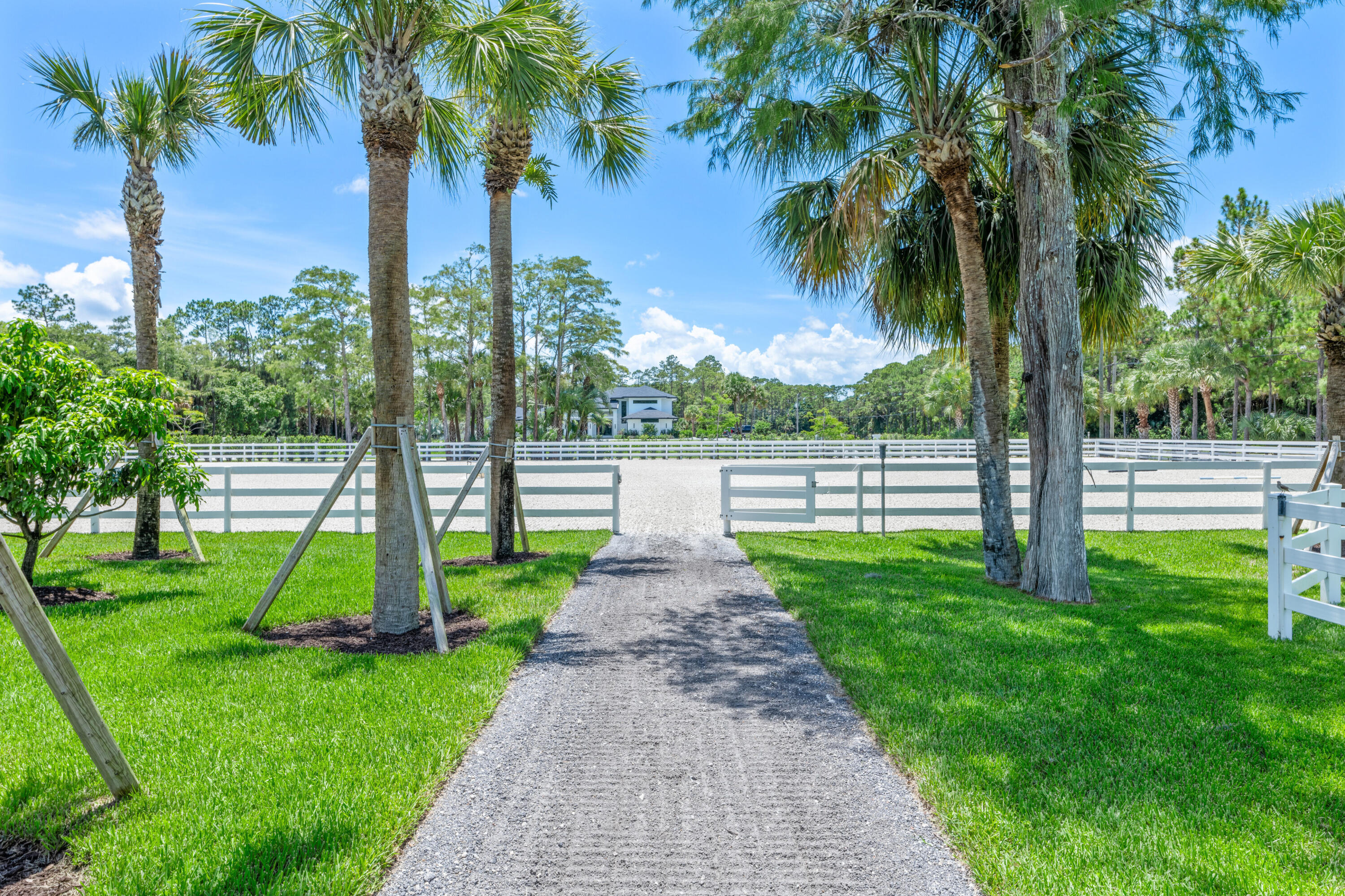 1464 Stallion Drive Property Photo 46