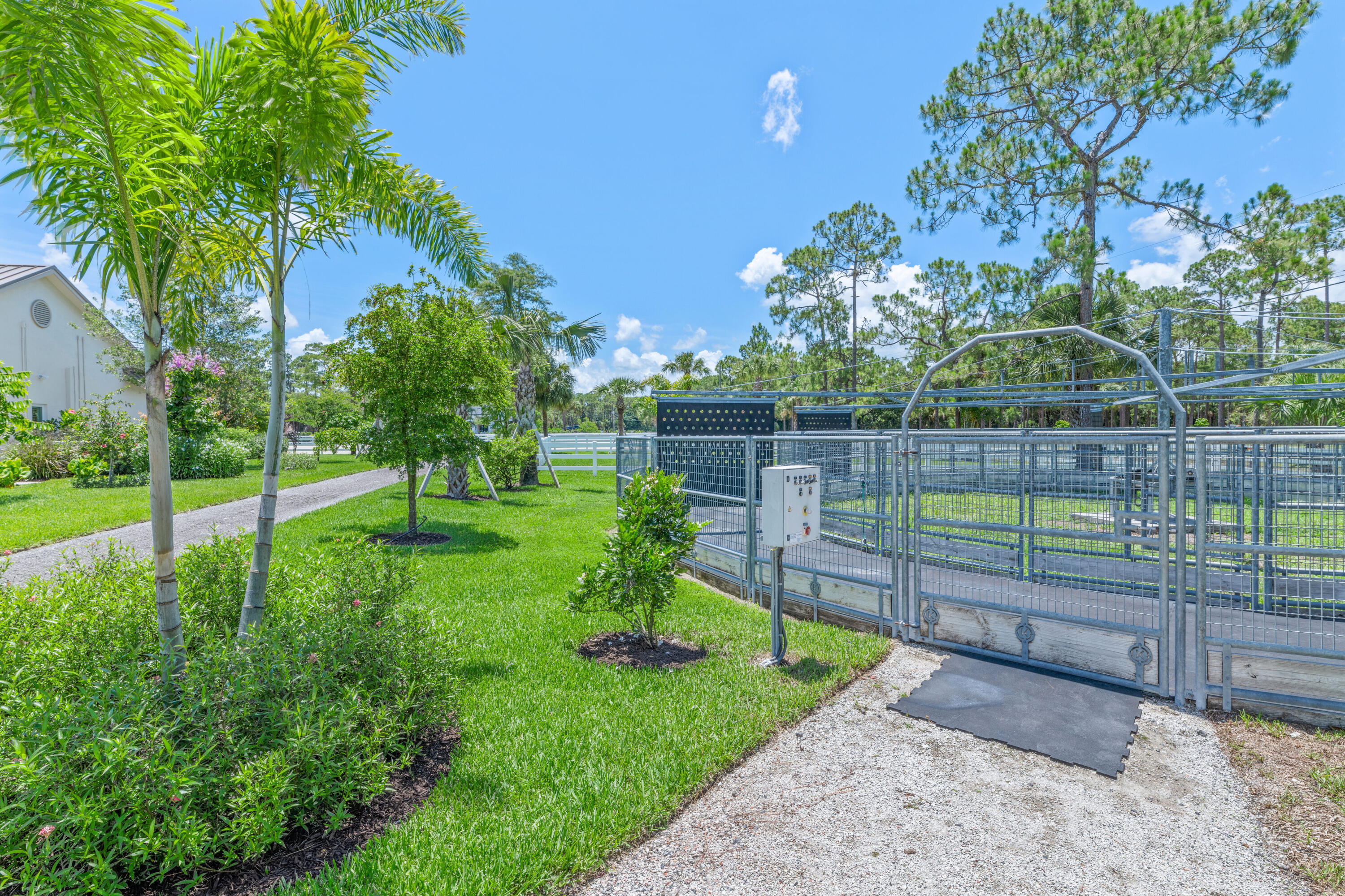 1464 Stallion Drive Property Photo 49