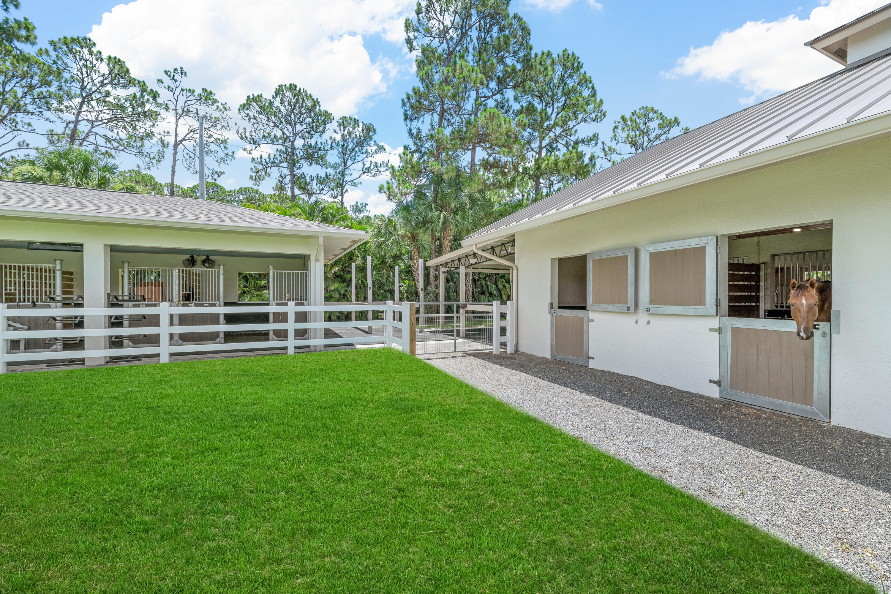 1464 Stallion Drive Property Photo 63