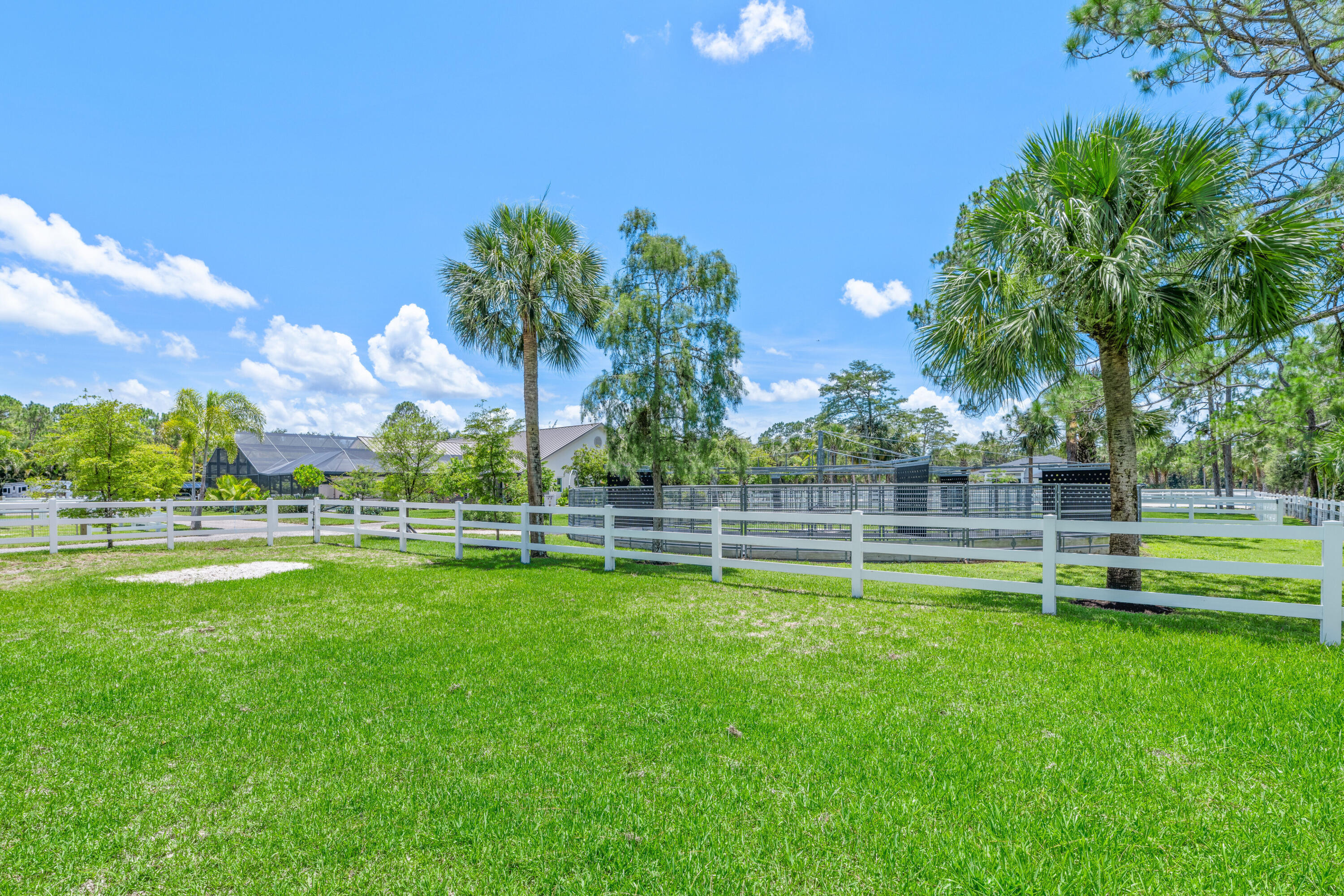 1464 Stallion Drive Property Photo 81