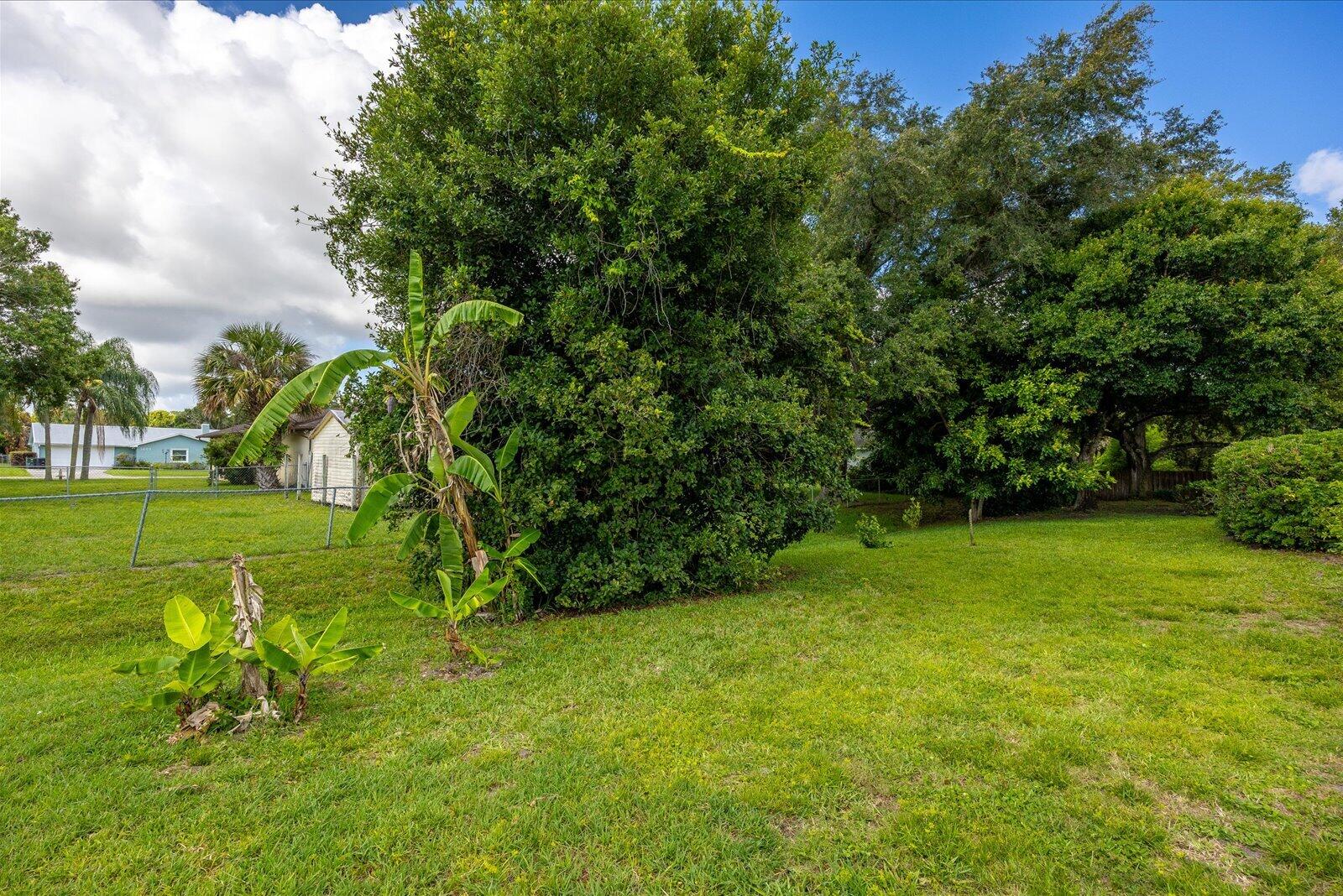 3603 River Birch Drive Property Photo 62