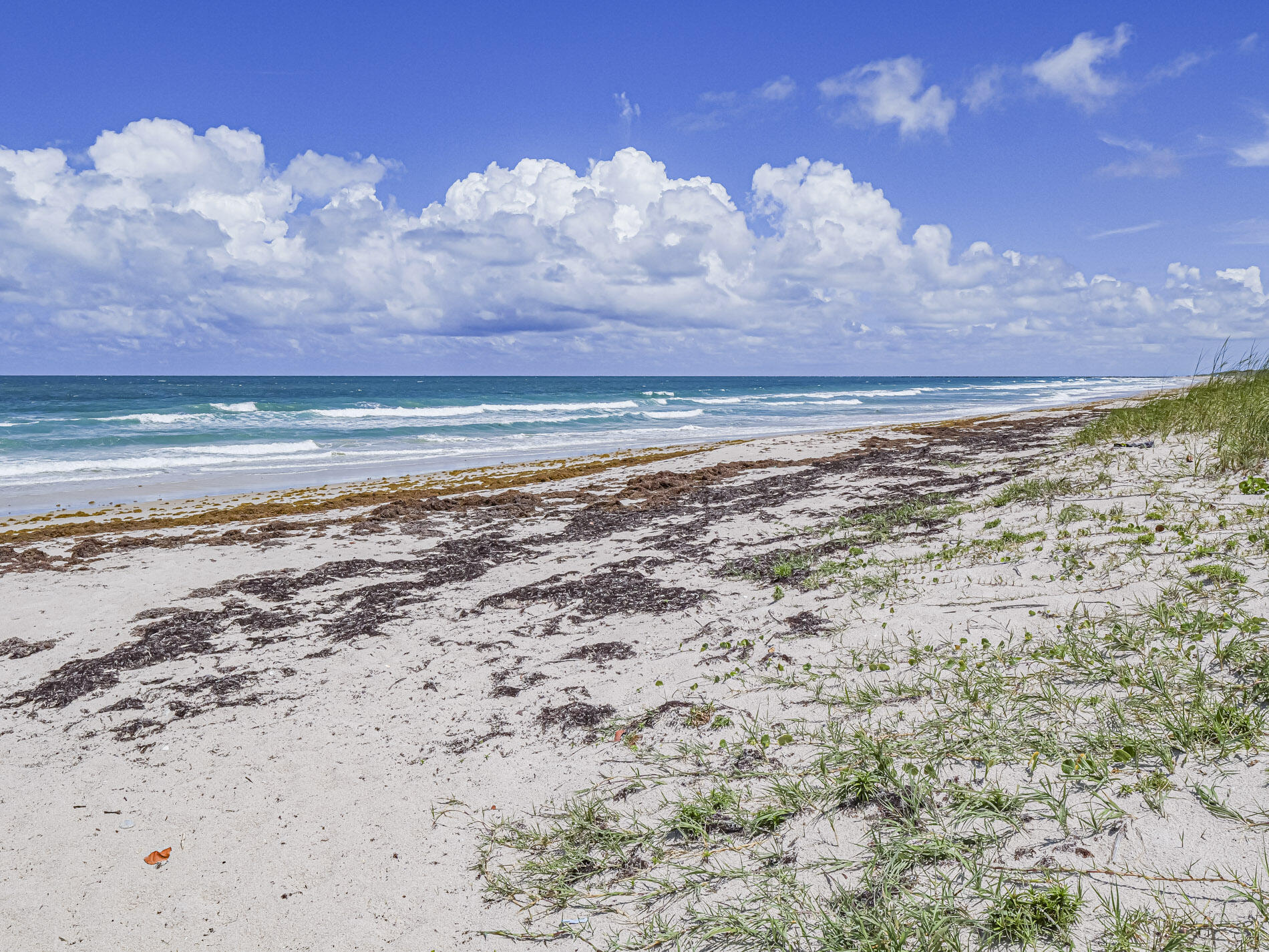 2700 N Highway A1a 305 Property Photo 53