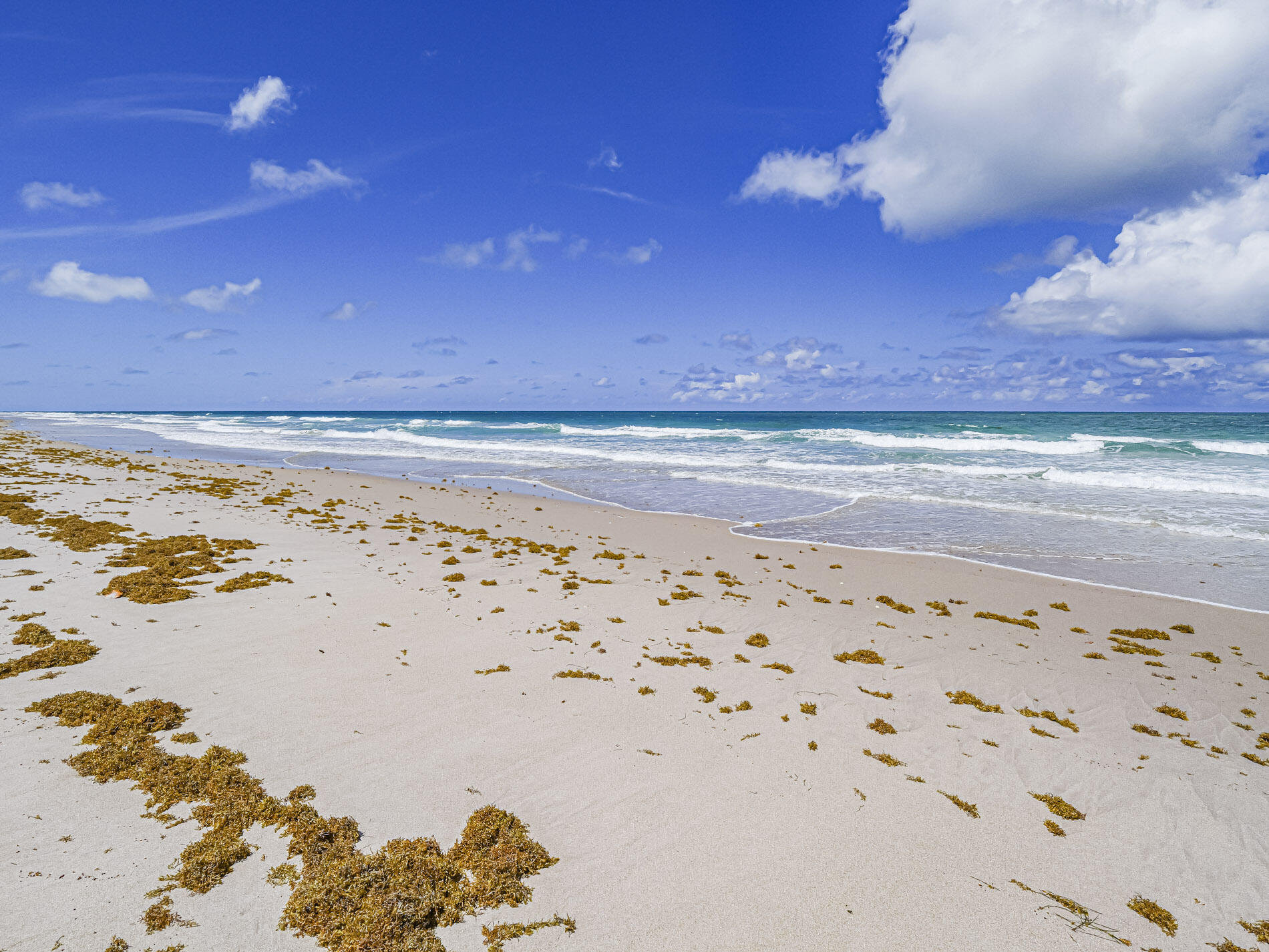 2700 N Highway A1a 305 Property Photo 54