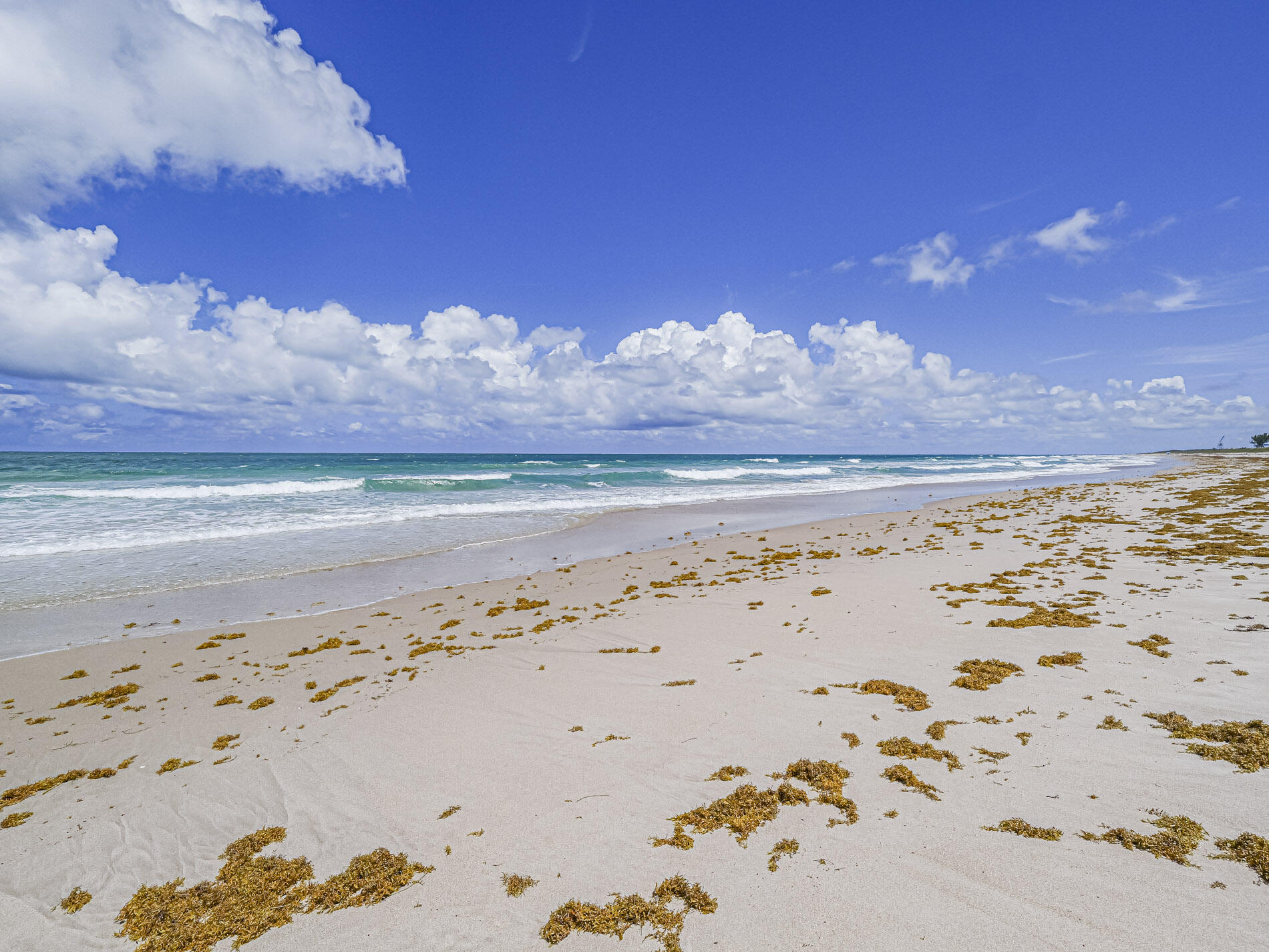 2700 N Highway A1a 305 Property Photo 55