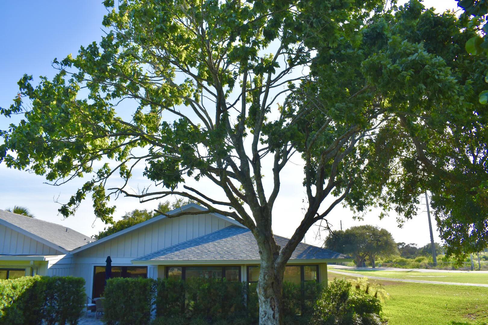 12638 Se Cascades Court Property Photo 31