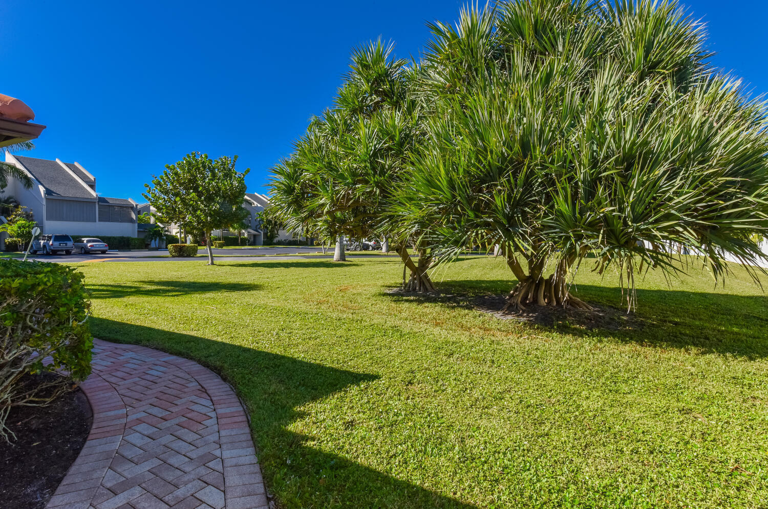 1469 Via Privada Property Photo 5