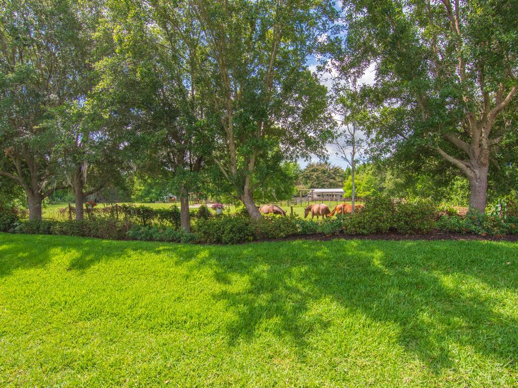 1340 Willow Oak Court Property Photo 10