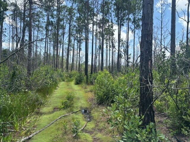 0 Holopaw Groves Road Property Photo 3