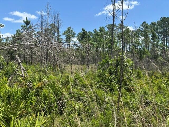 0 Holopaw Groves Road Property Photo 4
