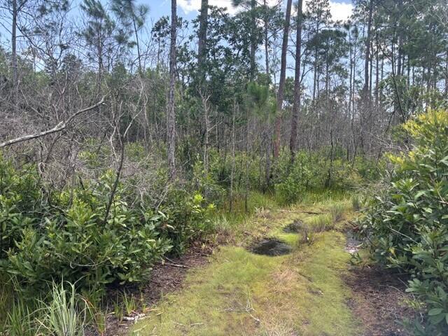 0 Holopaw Groves Road Property Photo 5