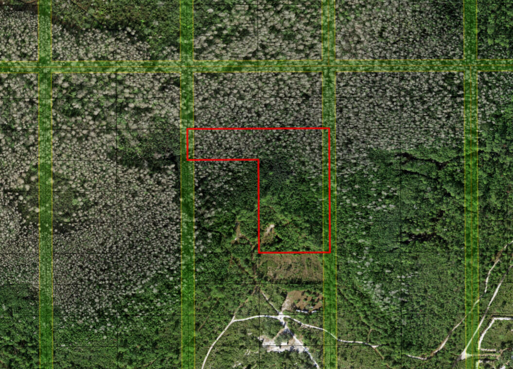 0 Holopaw Groves Road Property Photo 6