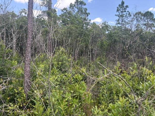 0 Holopaw Groves Road Property Photo 7