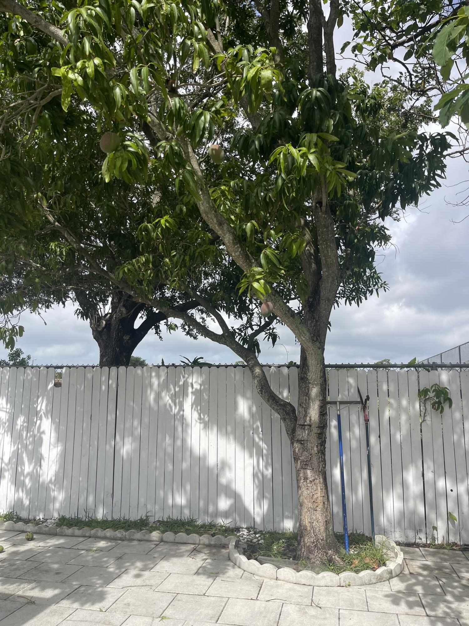1534 Royal Forest Court Property Photo 19
