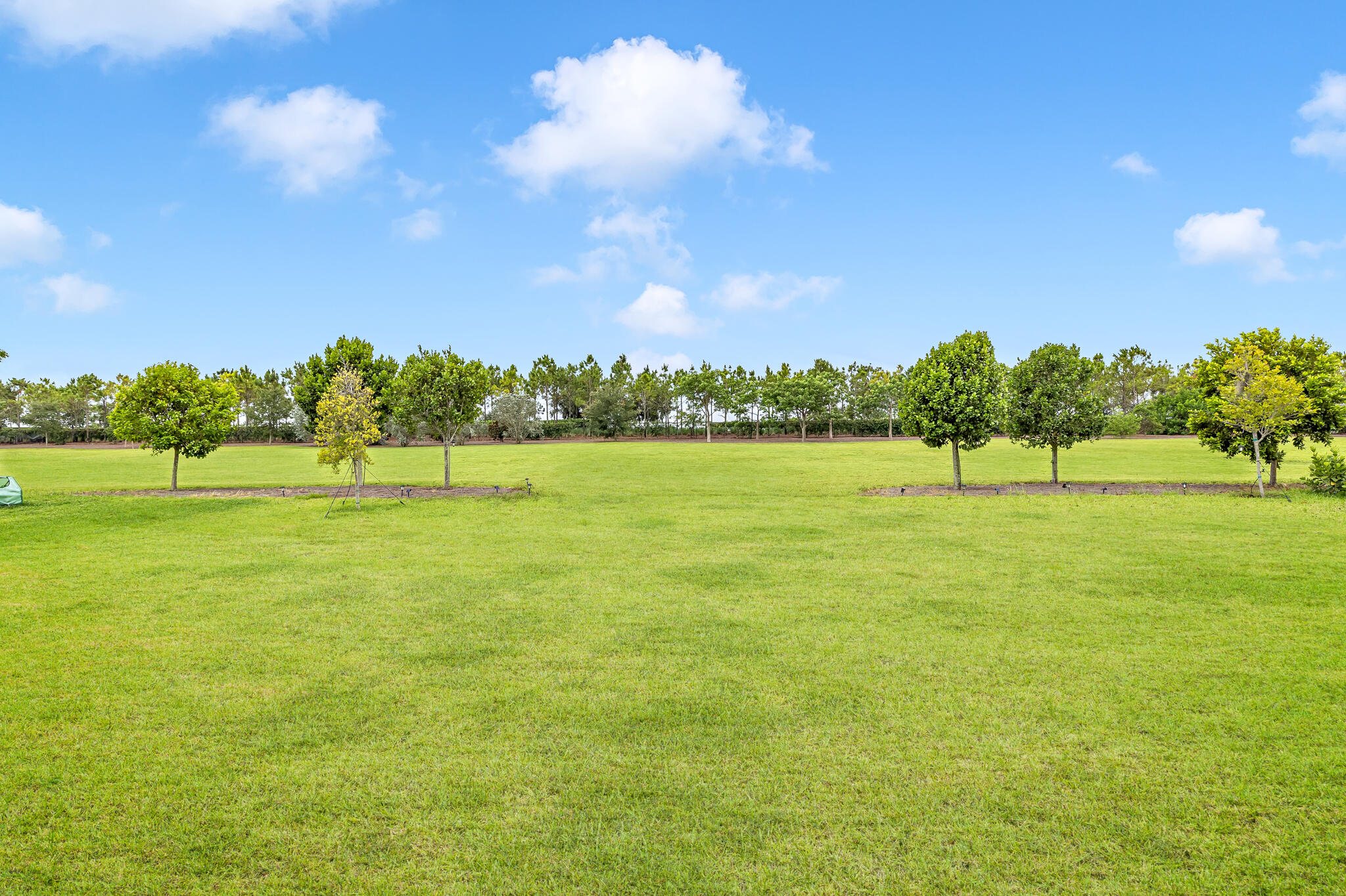 686 Hookline Circle Property Photo 45