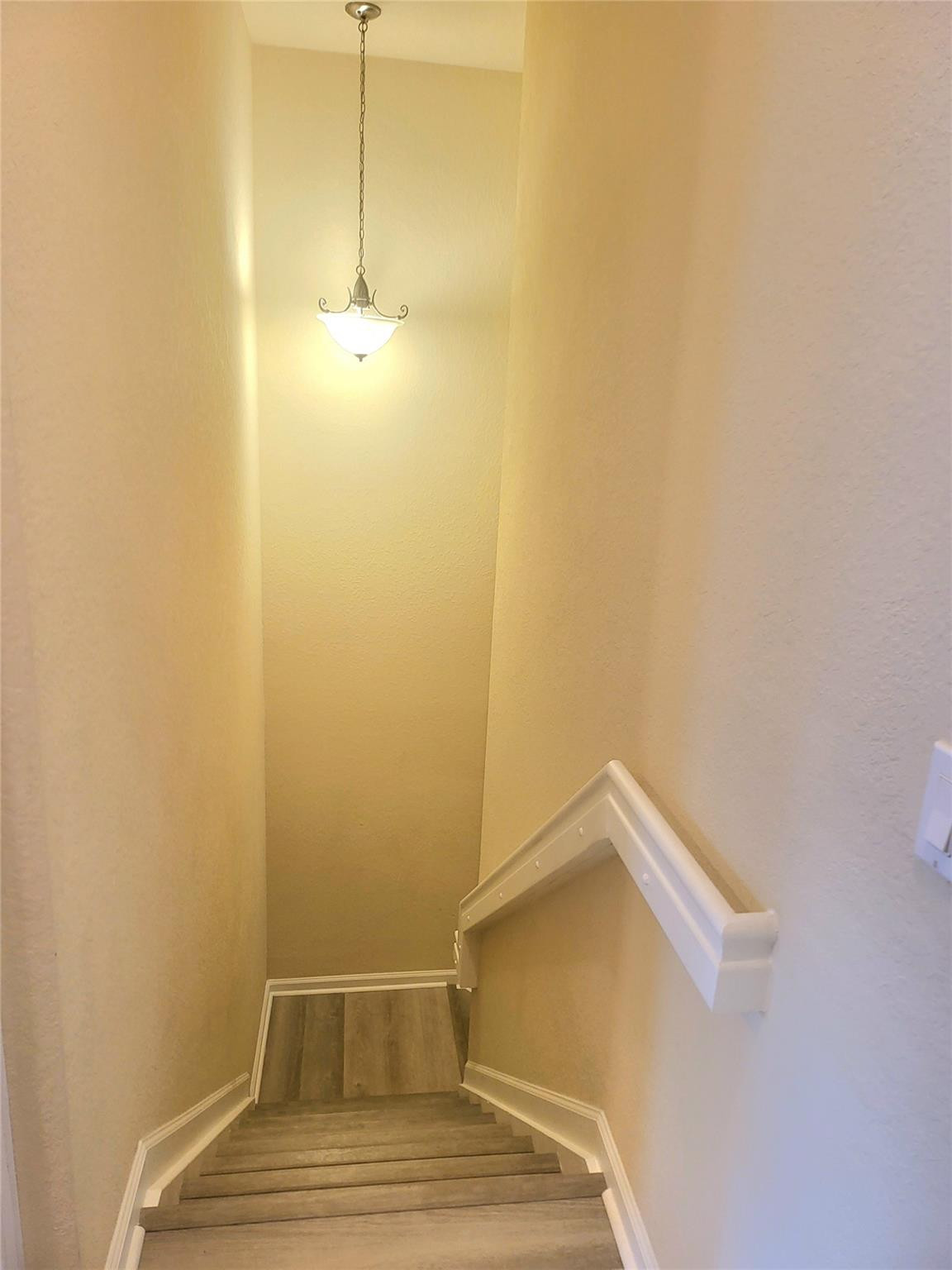 4658 Monarch Way Property Photo 19