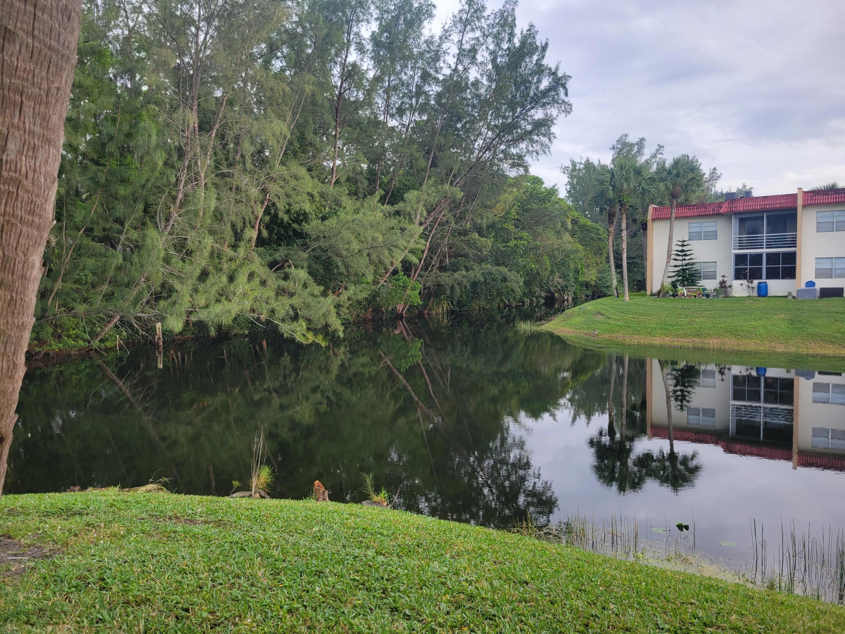 356 Lake Dora Drive Property Photo 1