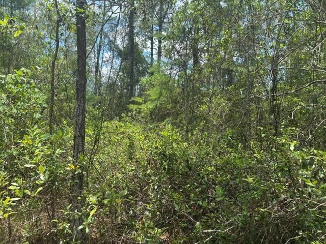 0 Water Road Property Photo 2