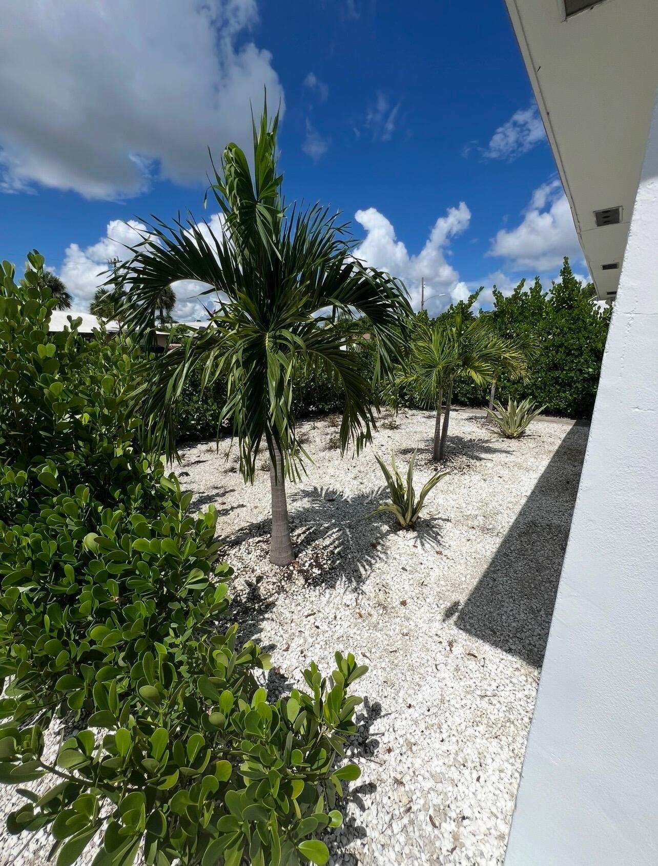 427 Conniston Road B Property Photo 9