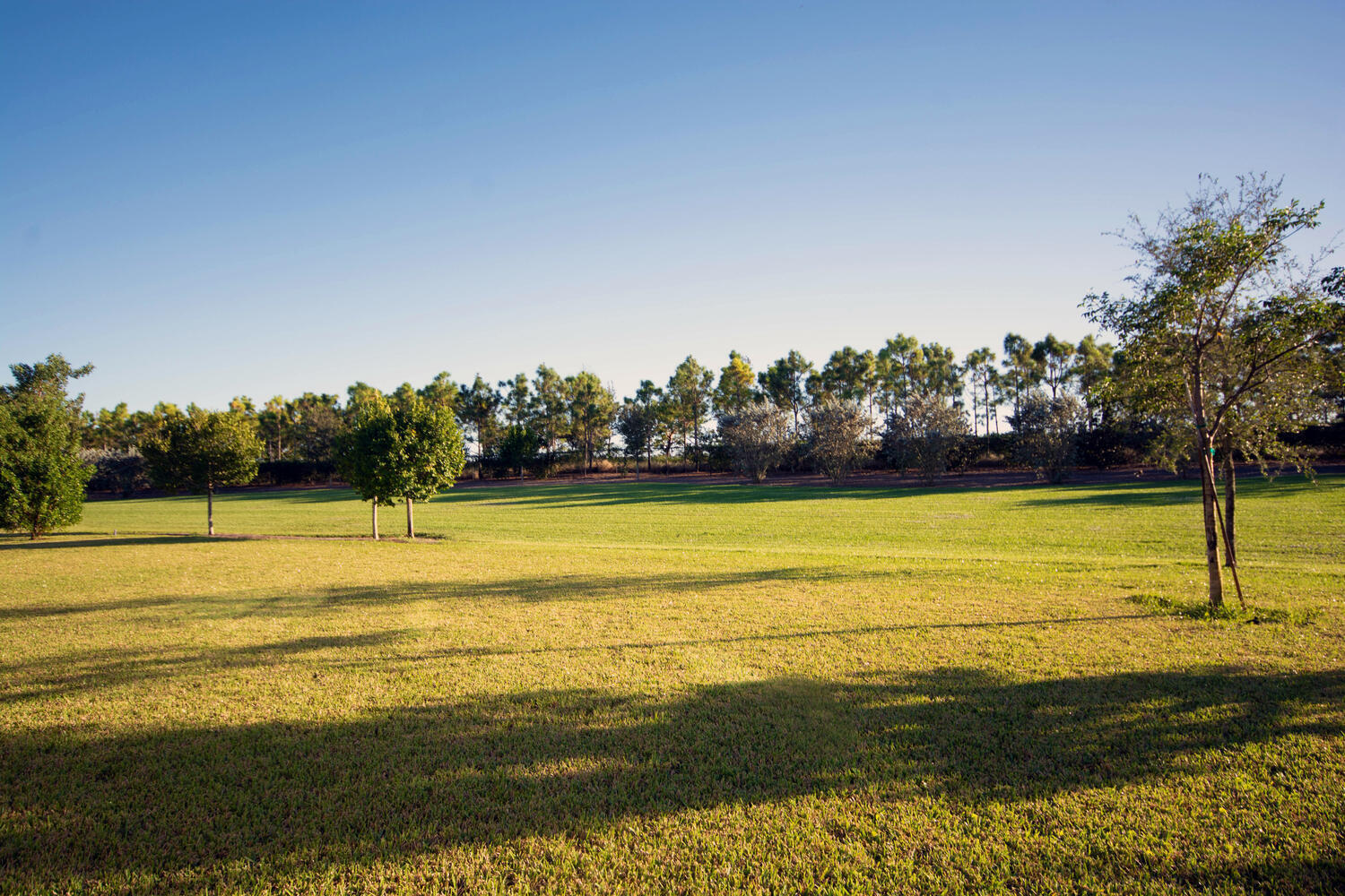 714 Hookline Circle Property Photo 45