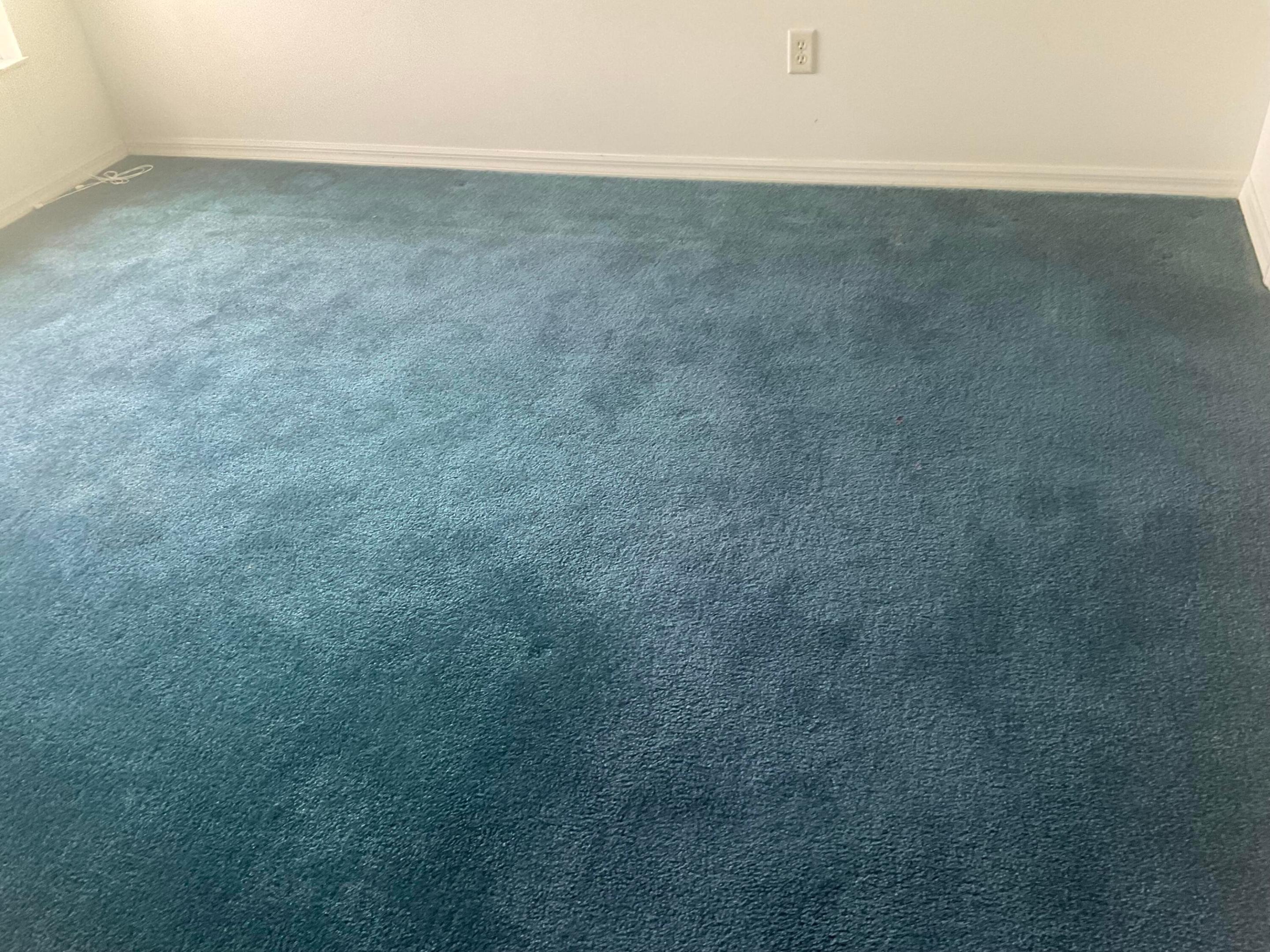 14151 Cisne Circle Property Photo 29