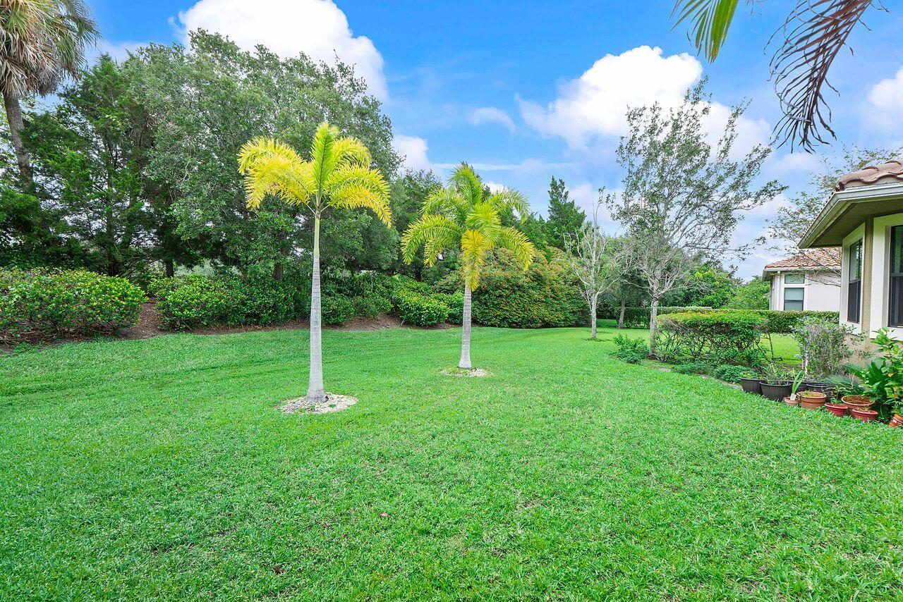 8231 Canopy Terrace Property Photo 35