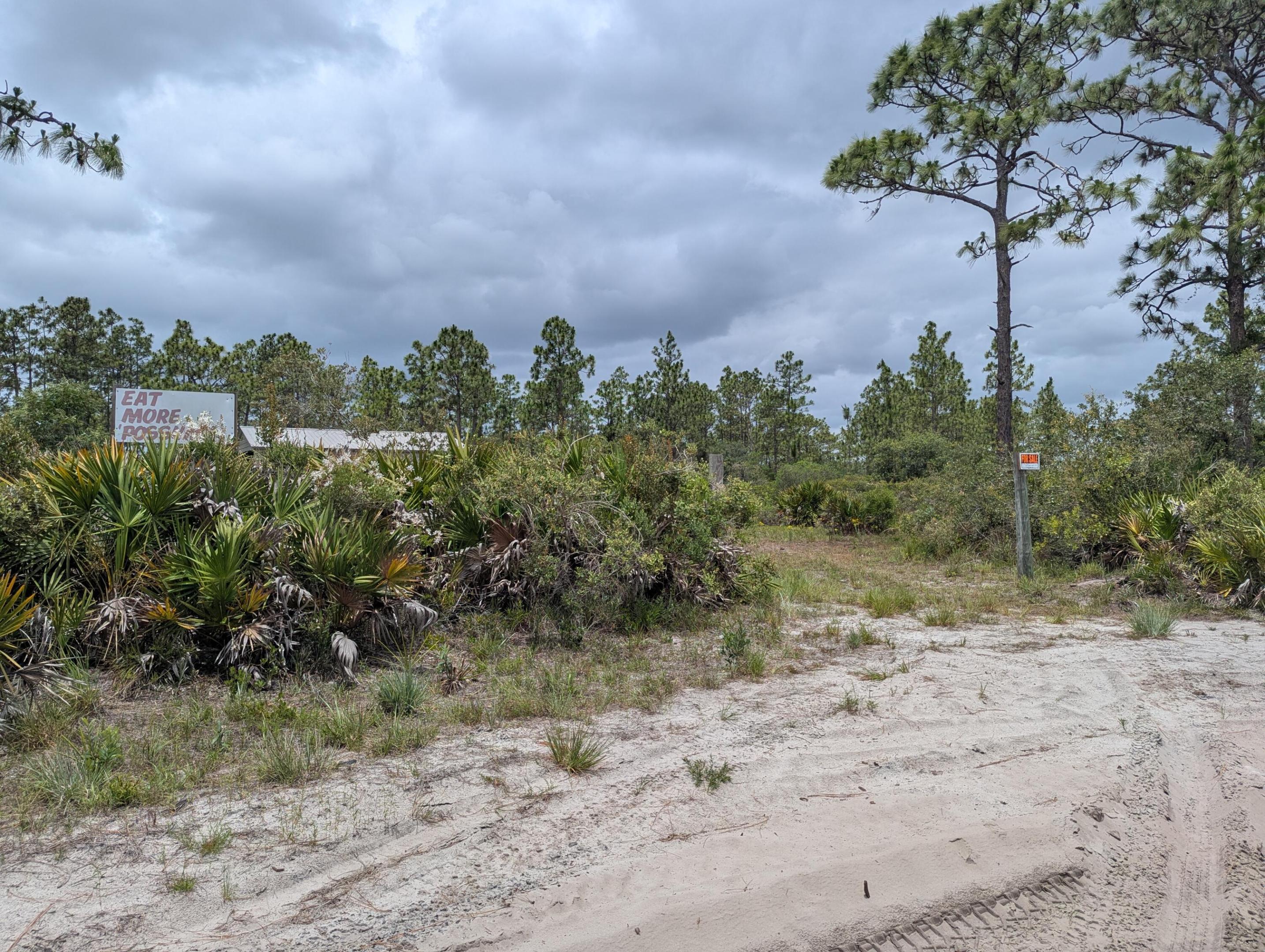 0 Holopaw Groves Road Property Photo 31