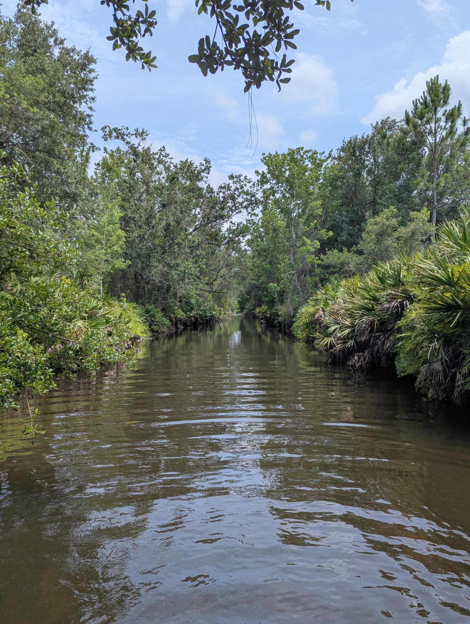 0 Holopaw Groves Road Property Photo 33