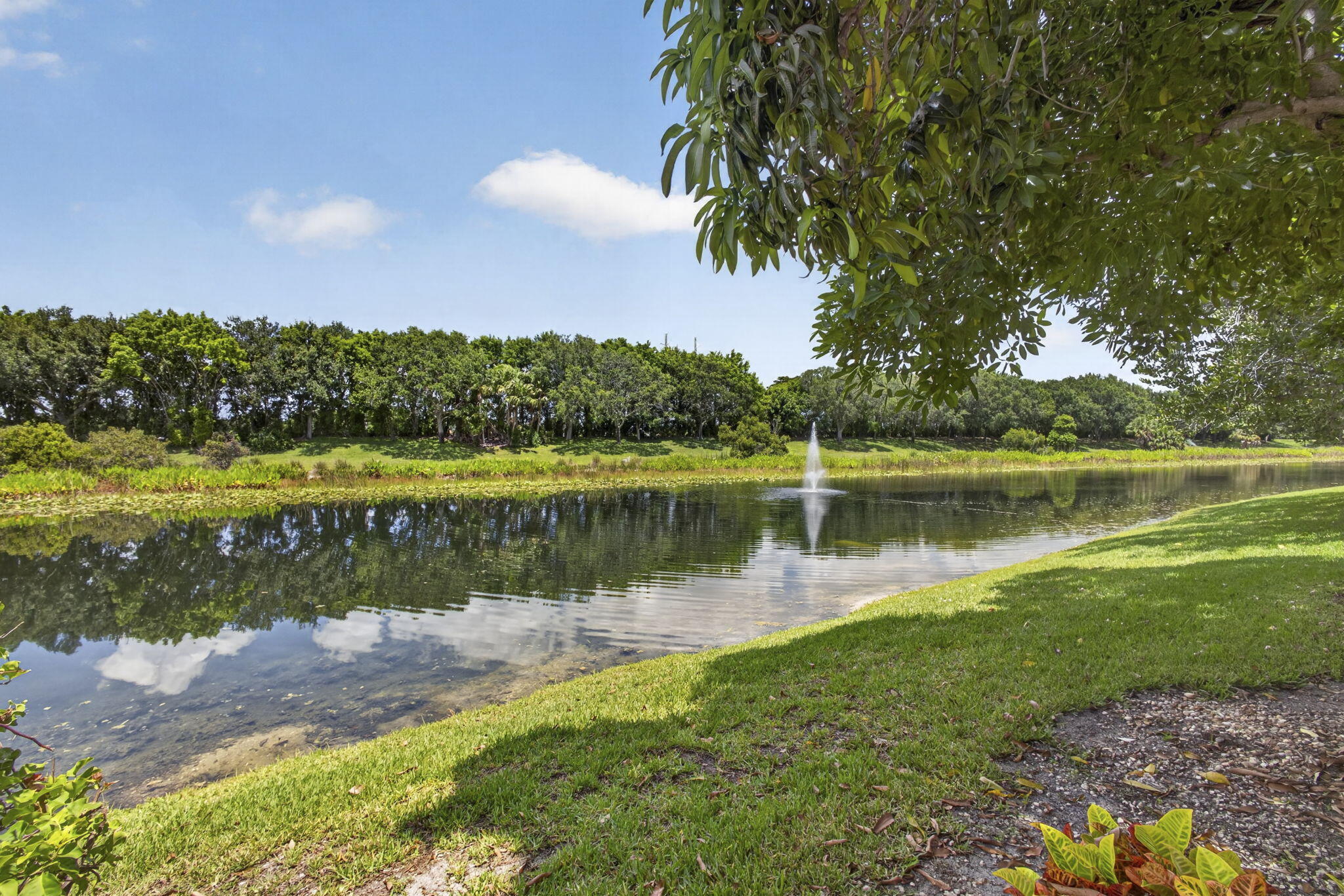 10880 Northgreen Drive Property Photo 45