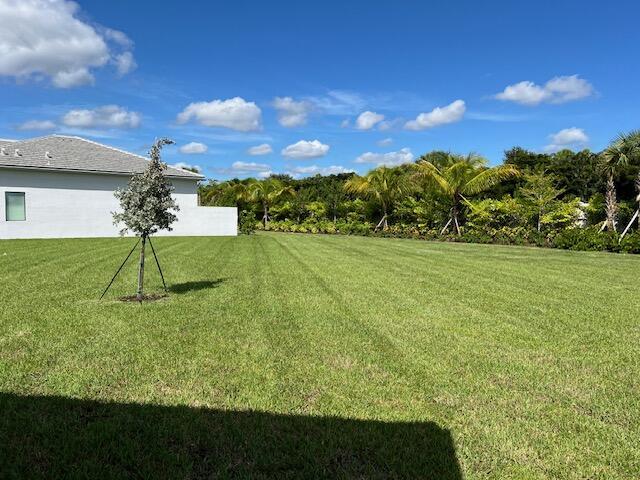 9741 Spruce Woods Drive Property Photo 6