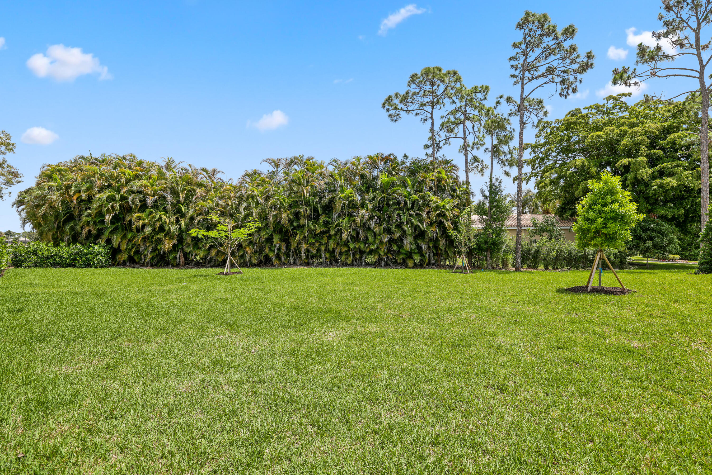11899 Sanbourn Court Property Photo 46