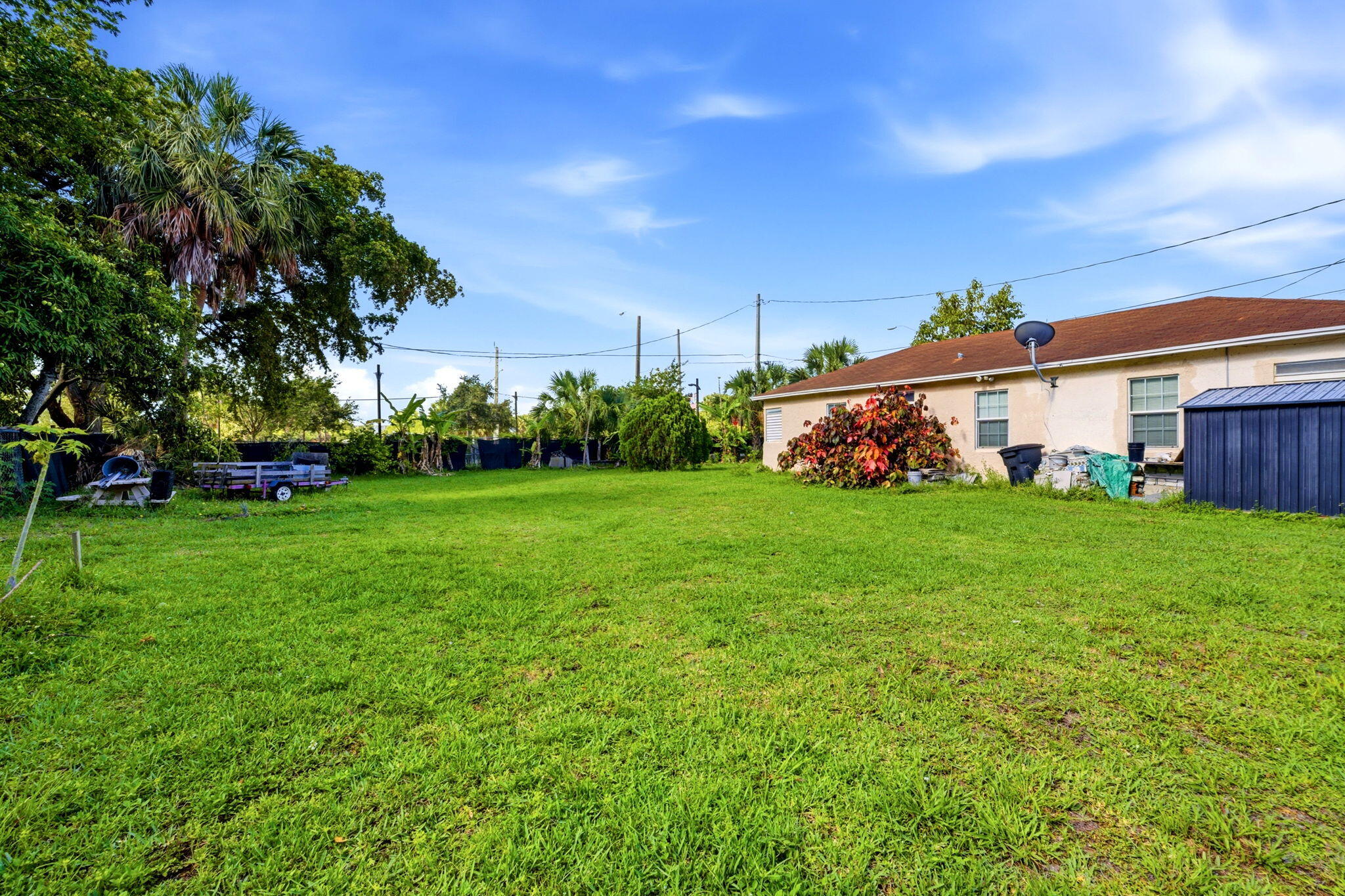 823 Doctor Martin Luther King Junior Boulevard 823 Property Photo 4