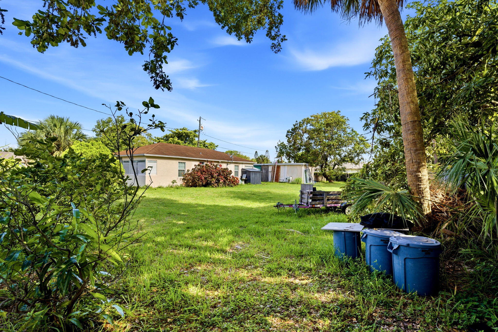 823 Doctor Martin Luther King Junior Boulevard 823 Property Photo 5