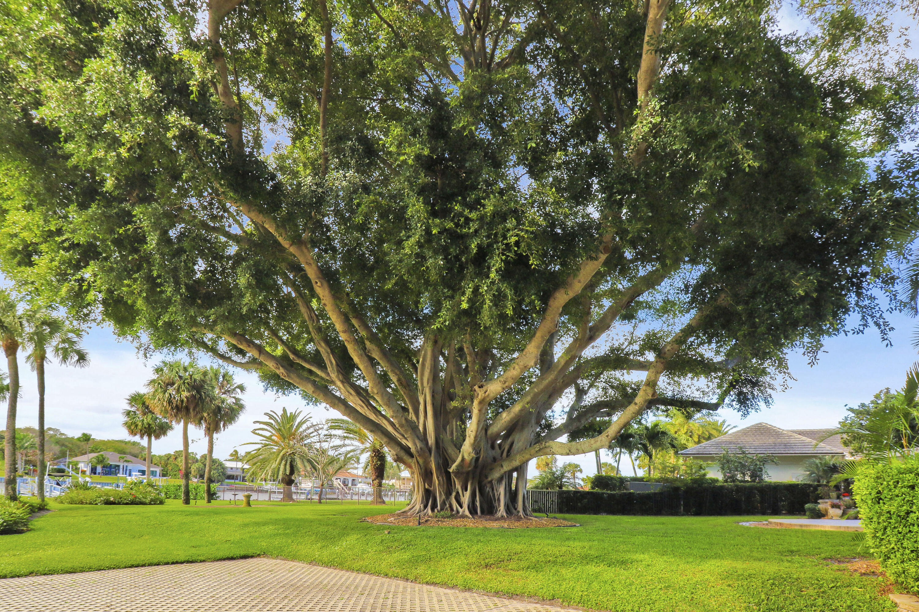 515 Bay Colony Drive N Property Photo 43