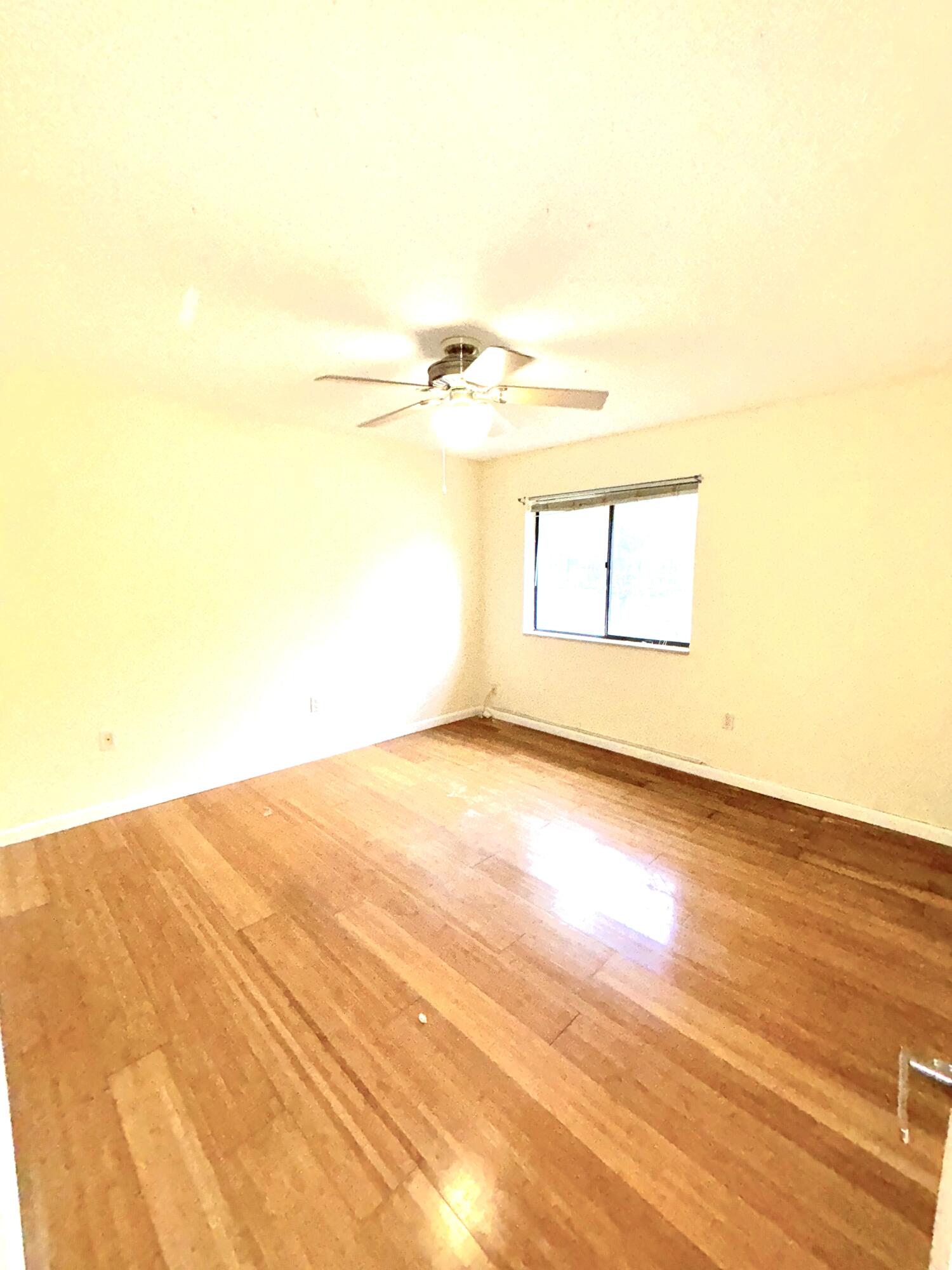 4807 Esedra Court Property Photo 26