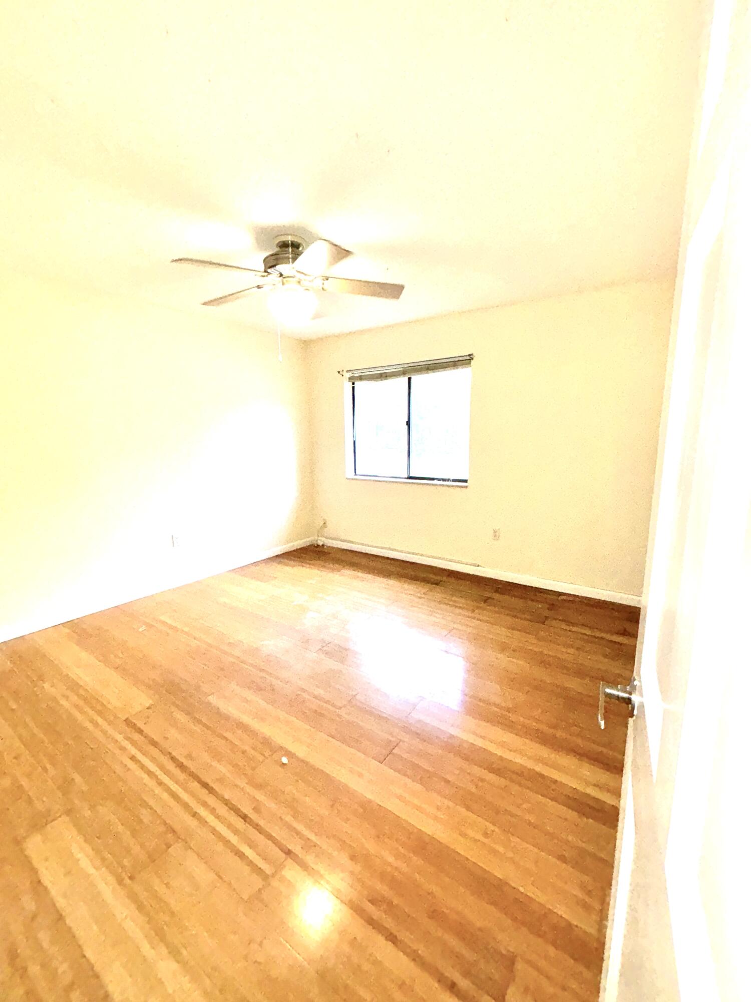 4807 Esedra Court Property Photo 27