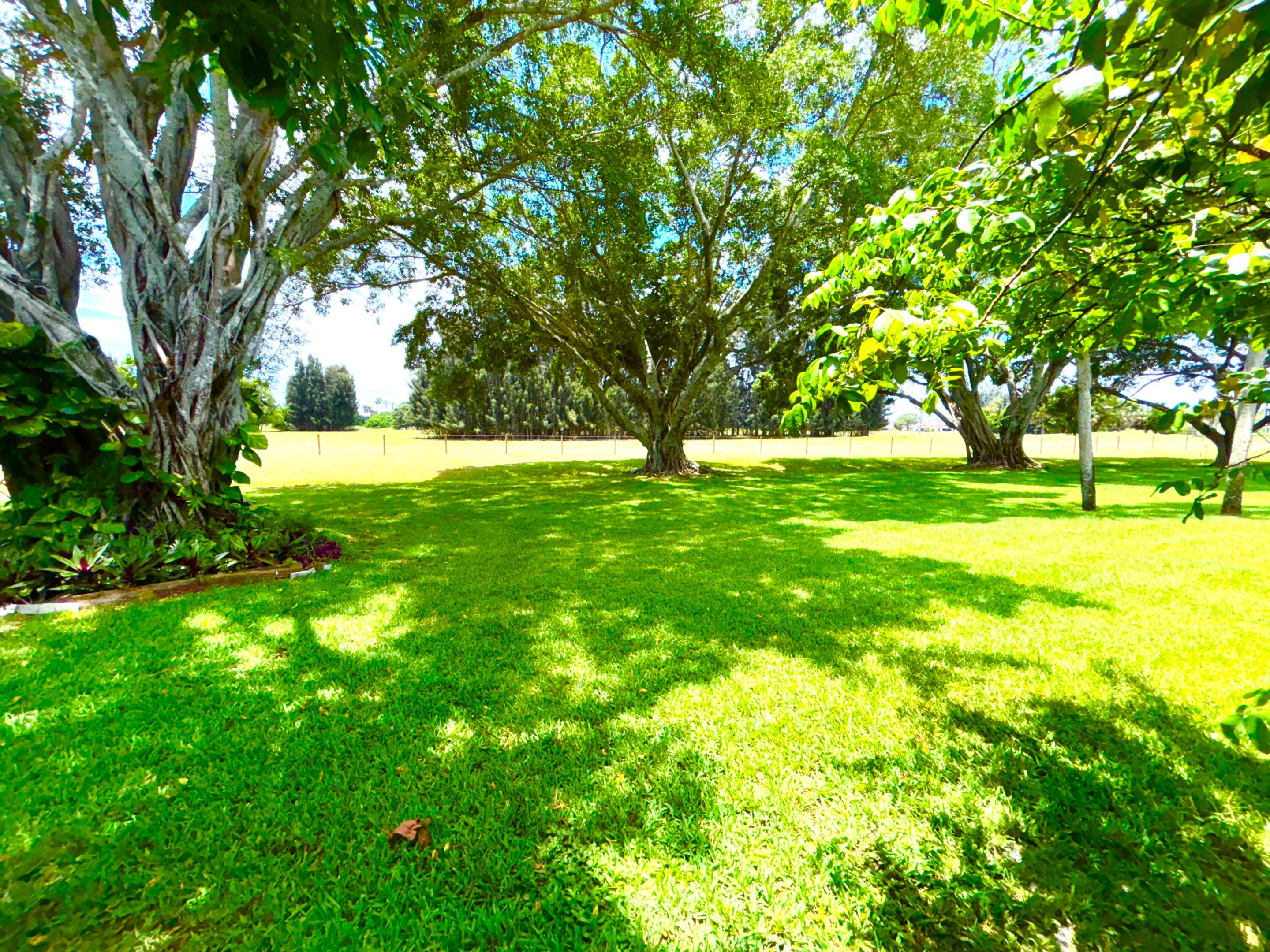 4807 Esedra Court Property Photo 28