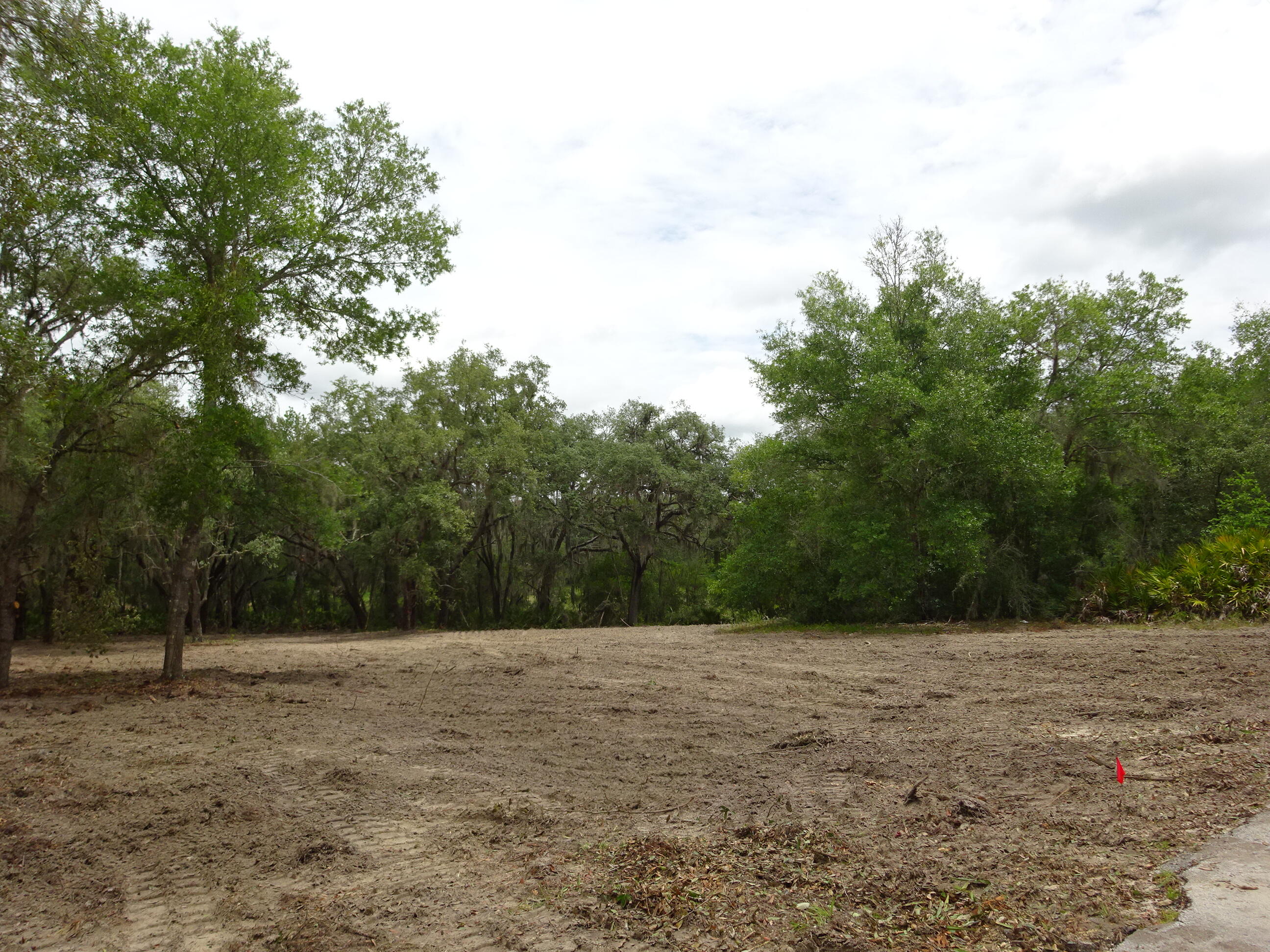 Lots 449 Property Photo 10