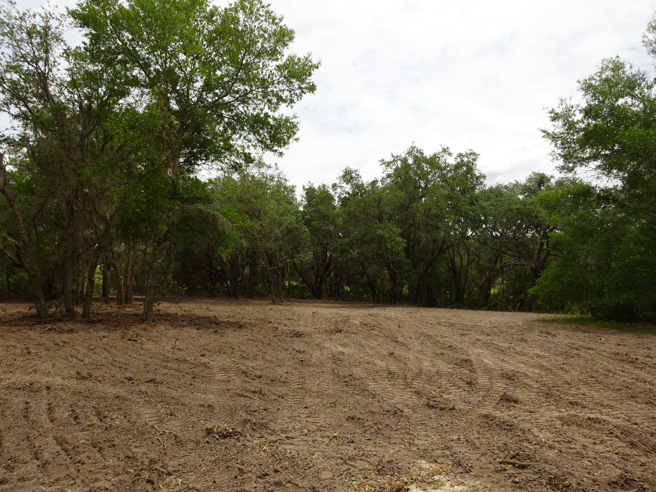 Lots 449 Property Photo 11