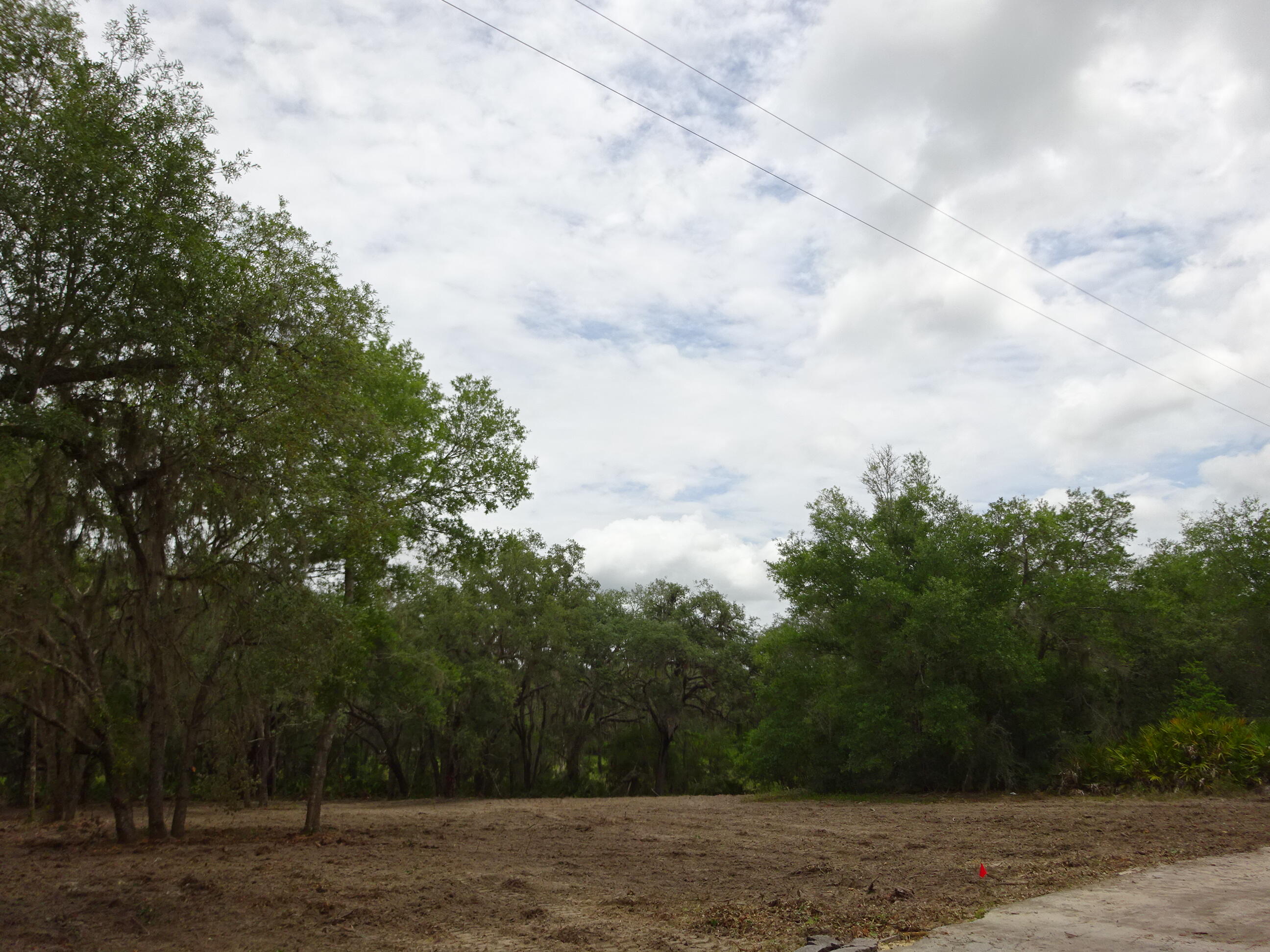 Lots 449 Property Photo 13