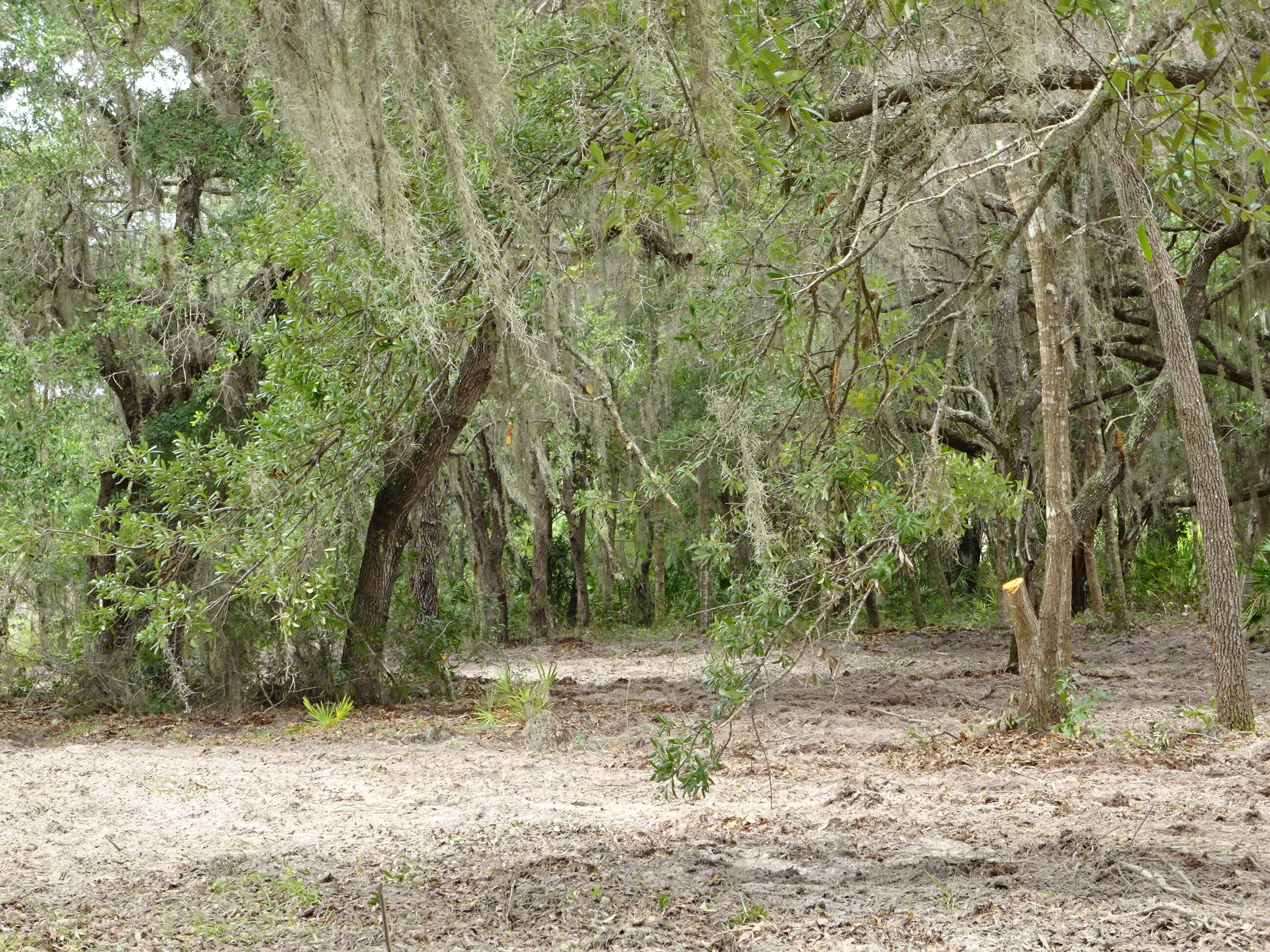 Lots 449 Property Photo 15