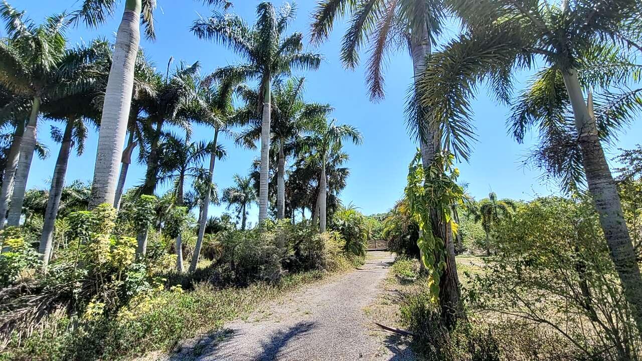 4095 Windmill Road Property Photo 2