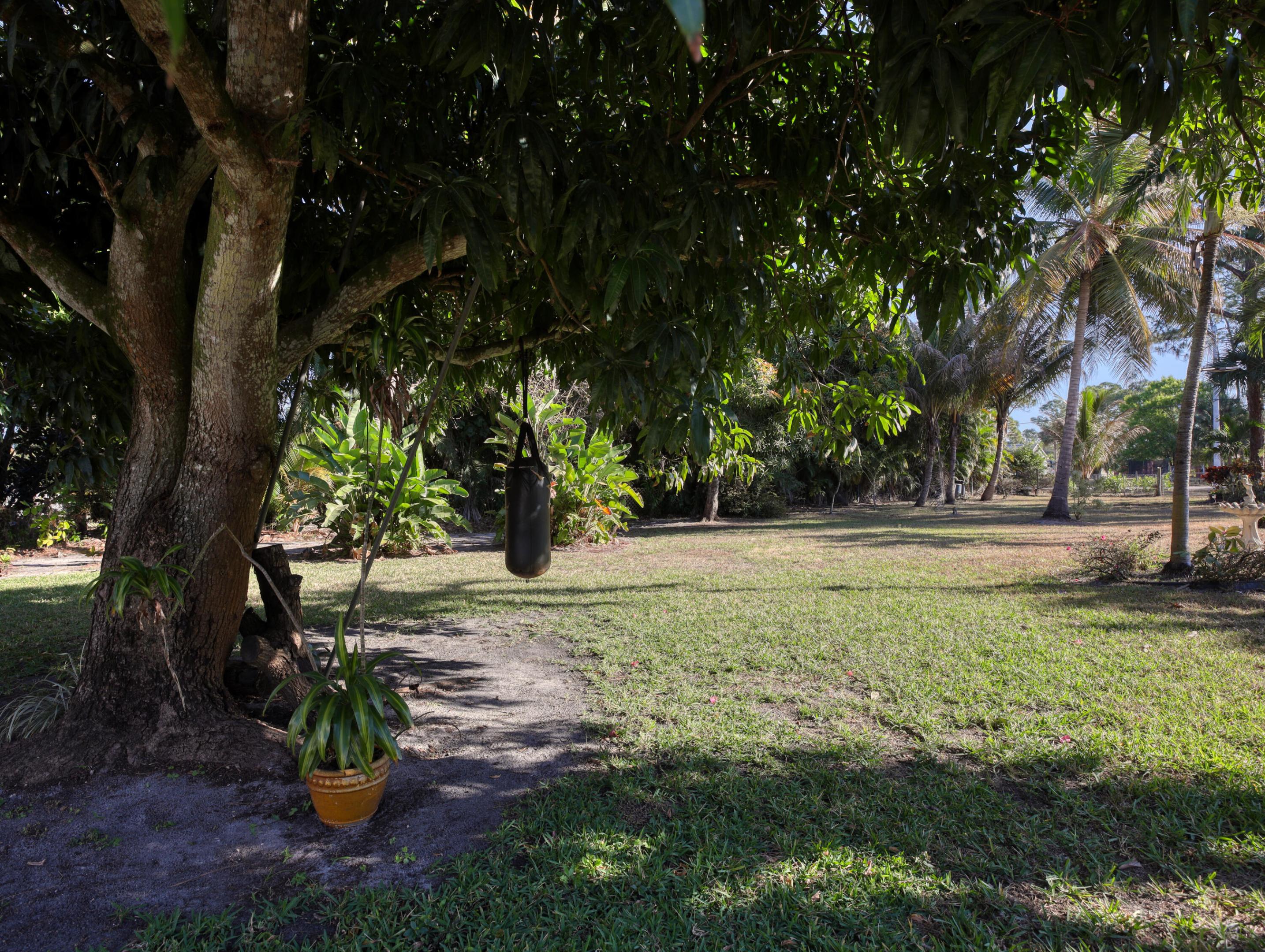15049 85th Road N Property Photo 19
