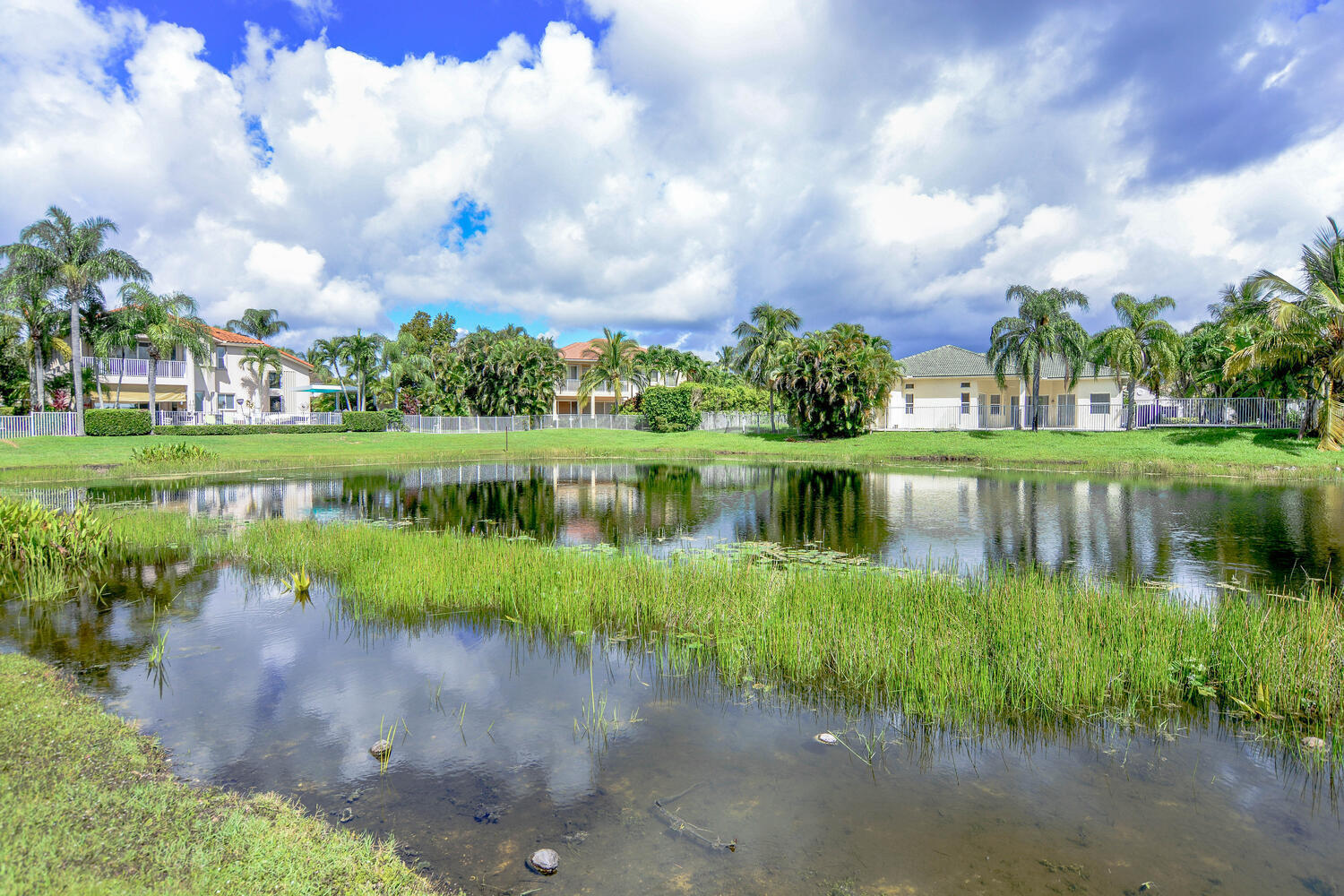 4676 Manderly Drive Property Photo 41